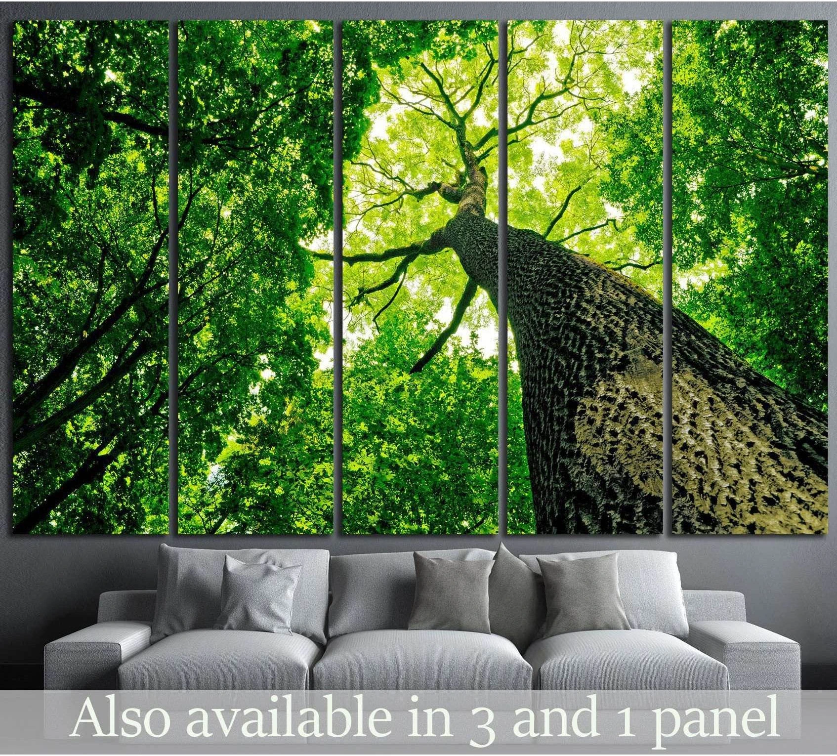 Forest canopy canvas print with upward view of tall tree trunk and lush green leaves above a sofa