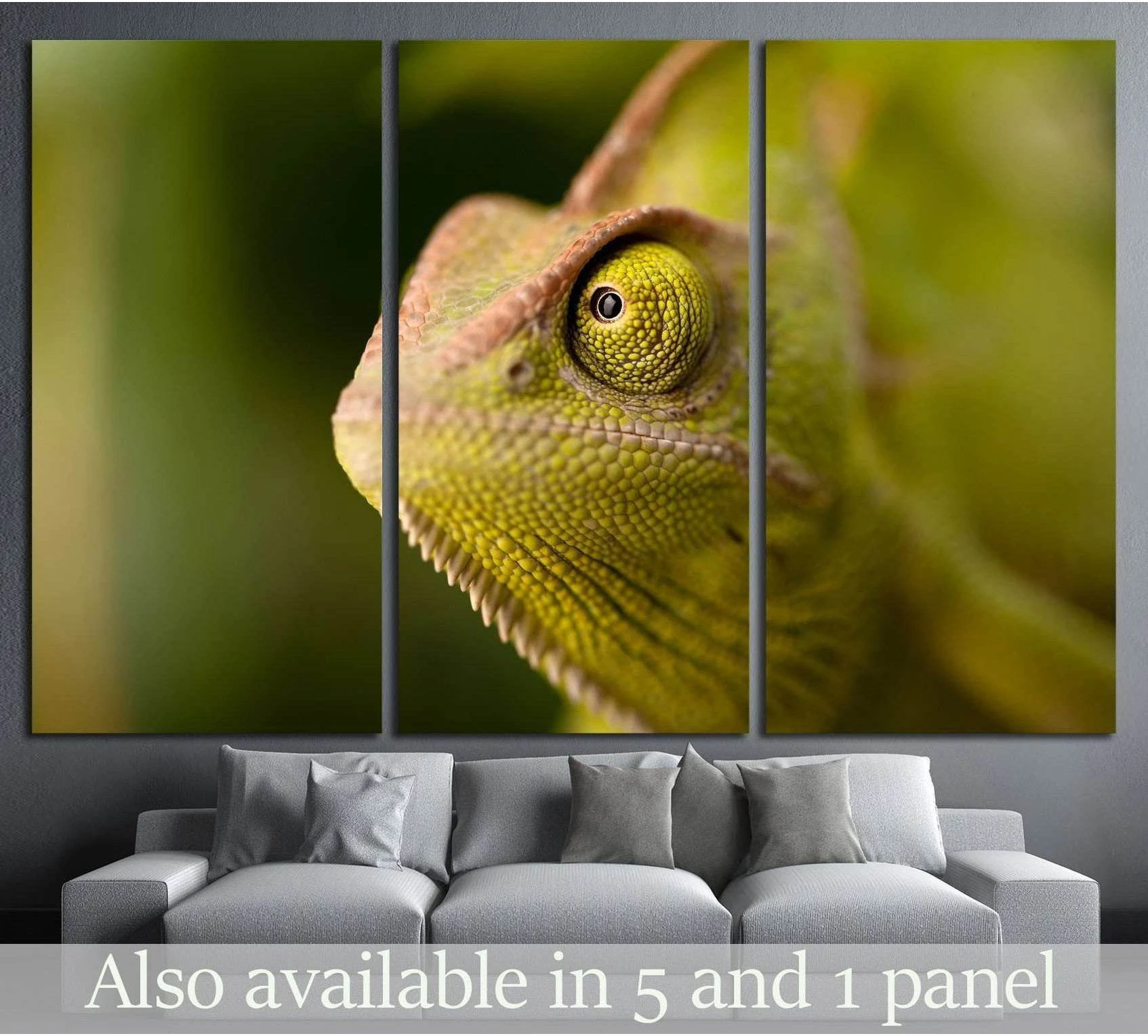 Green chameleon macro canvas print with textured scales and sharp eye detail above a gray sofa