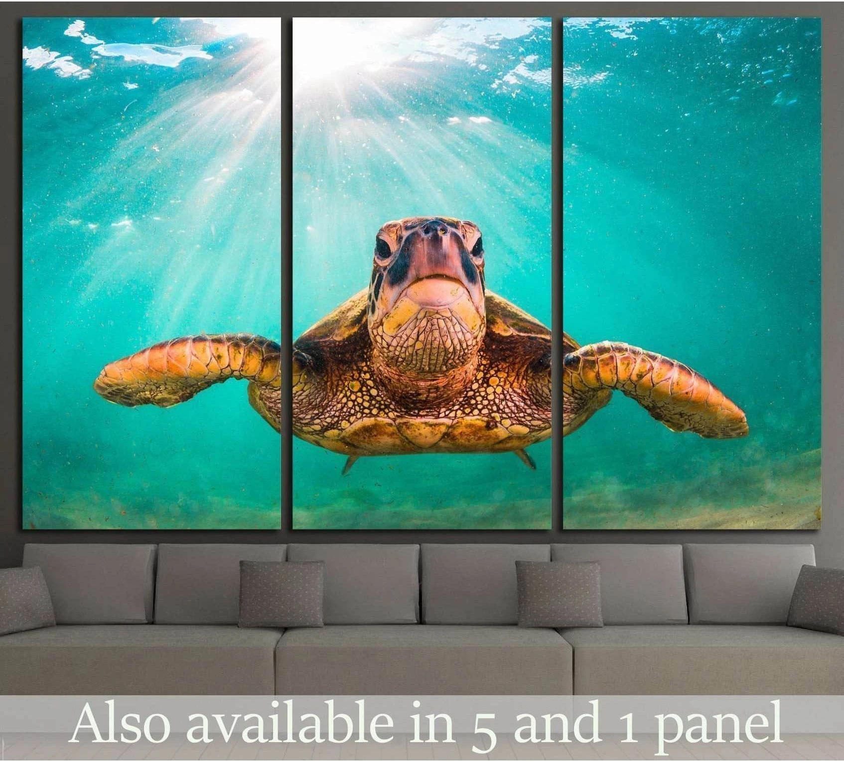 Hawaiian Green Sea Turtle, Pacific Ocean in Hawaii showing sea water, shoreline and horizon depth.