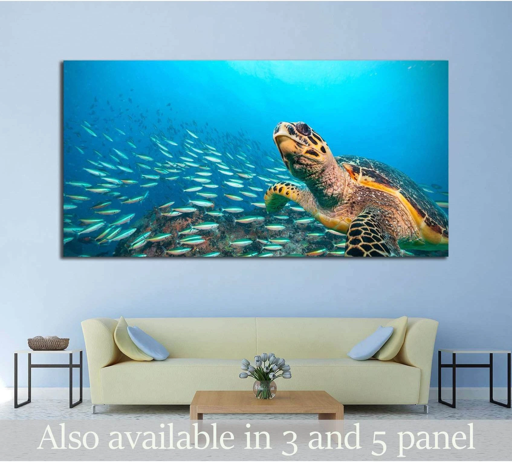 Hawksbill Sea Turtle flowing in Indian ocean, flock of fish on background showing sea water, shoreline and horizon depth.