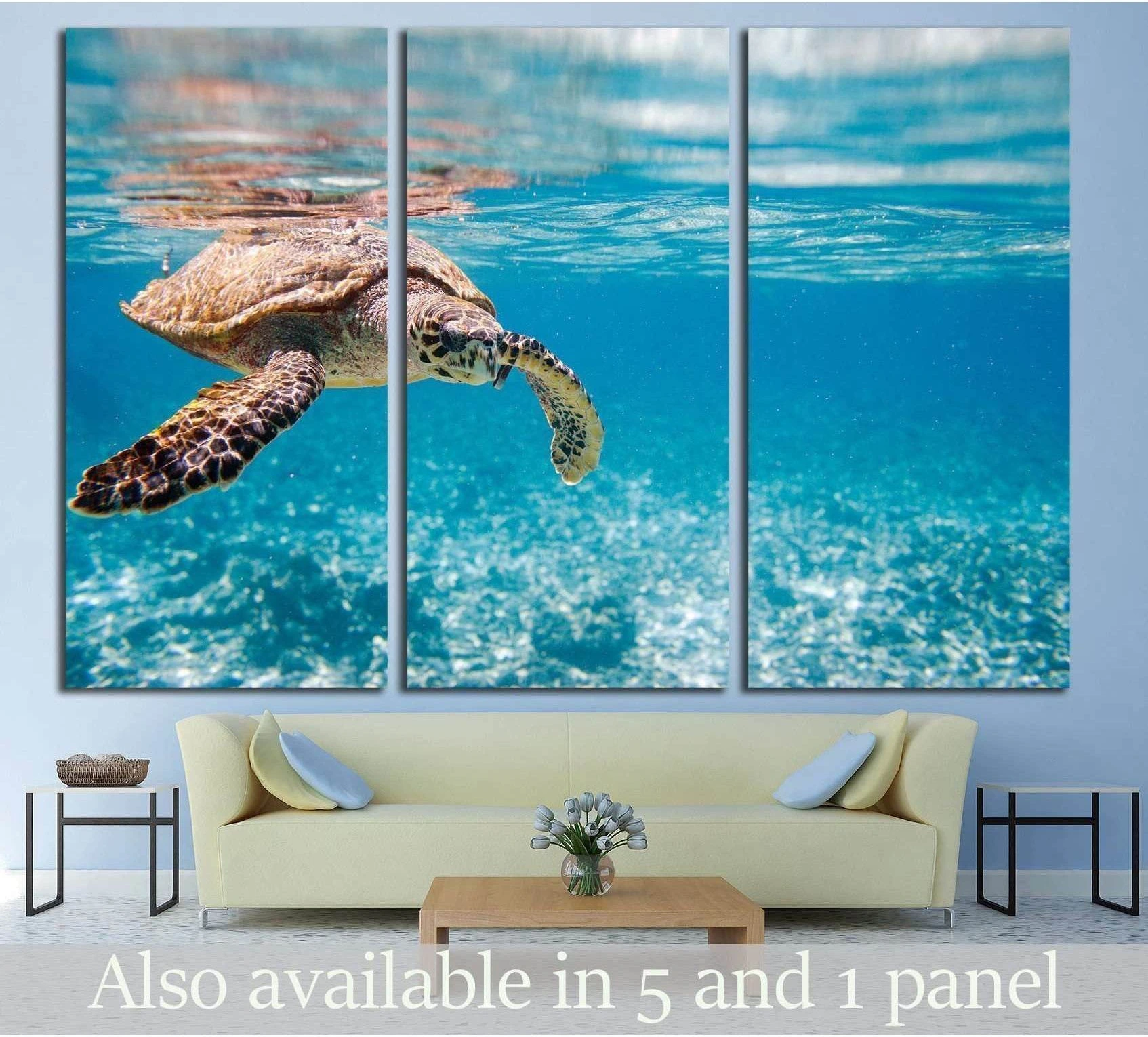 Hawksbill sea turtle swimming in Indian ocean in Seychelles showing sea water, shoreline and horizon depth.