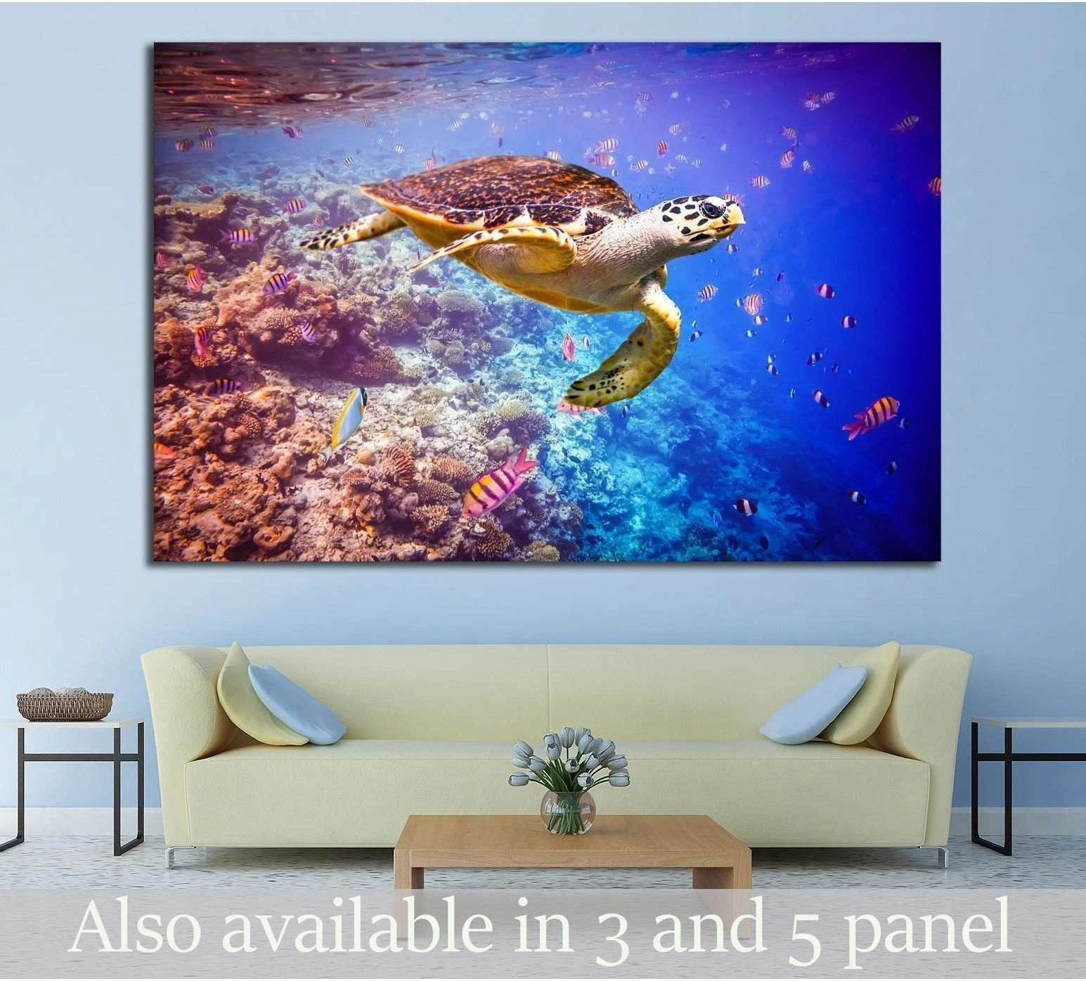 Hawksbill Turtle, Maldives, Ocean coral reef showing blue ocean wall art with water and coastal depth.
