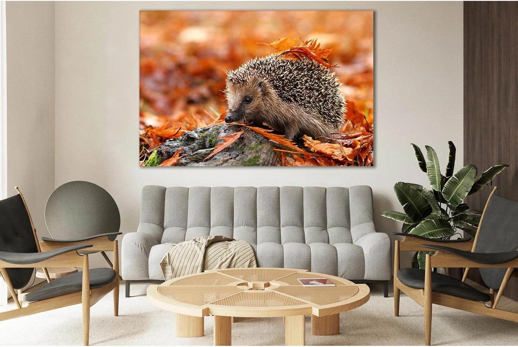 Hedgehog In Autumn Leaves №SL626 Ready to Hang Canvas Print - Zellart Canvas Prints 0new, ALL_Products, Autumn Wall Art
