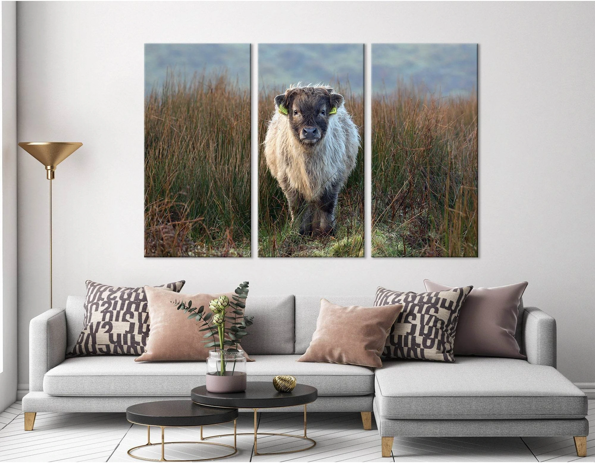 Highland Calf On The Field In Exmoor №04247 Ready to Hang Canvas Print - Zellart Canvas Prints ALL_Products
