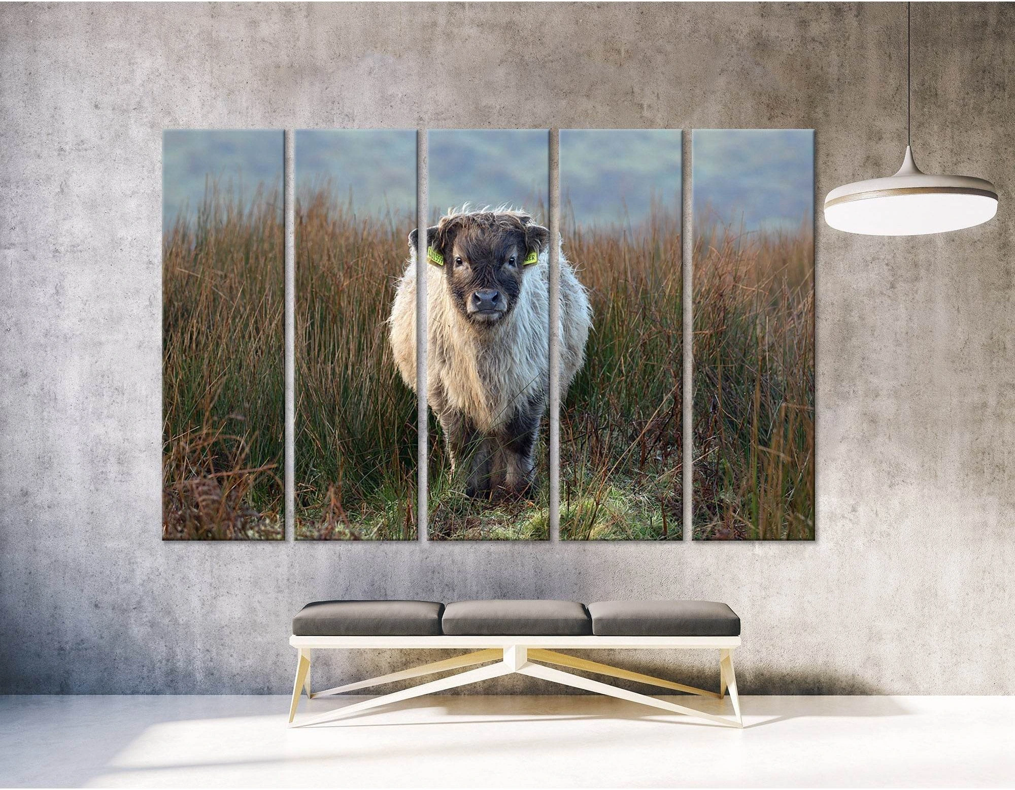 Highland Calf On The Field In Exmoor №04247 Ready to Hang Canvas Print - Zellart Canvas Prints ALL_Products