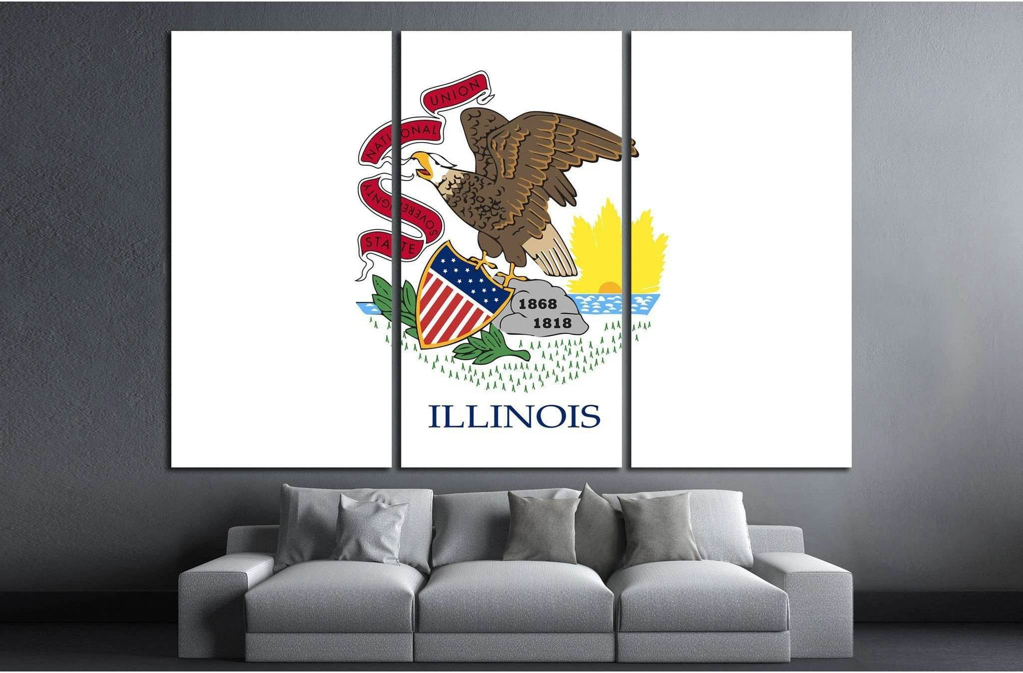 Illinois state flag №676 Ready to Hang Canvas Print - Zellart Canvas Prints ALL_Products, s-676