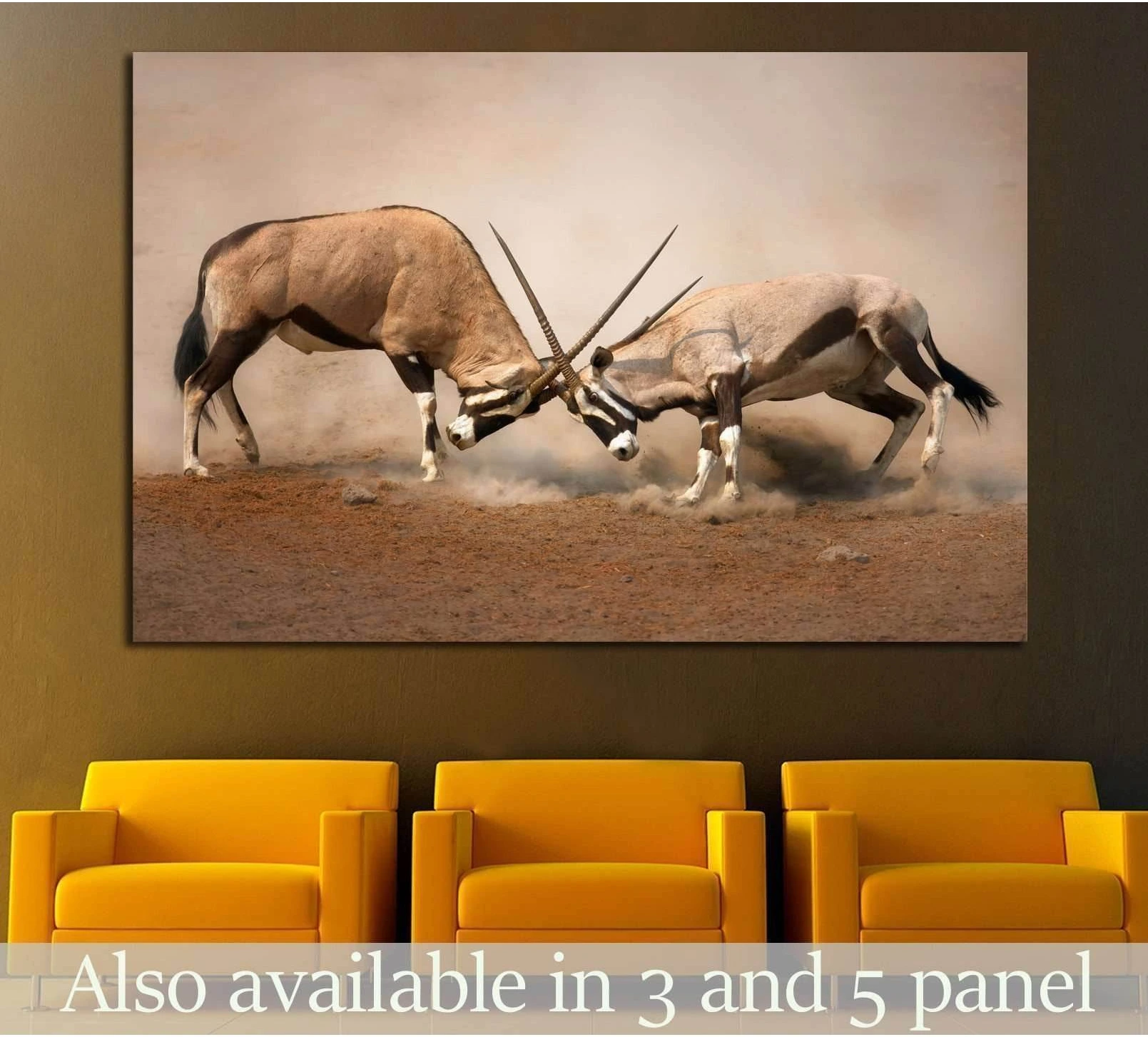 Two male gemsbok locking horns on dusty Etosha plains canvas print above yellow chairs