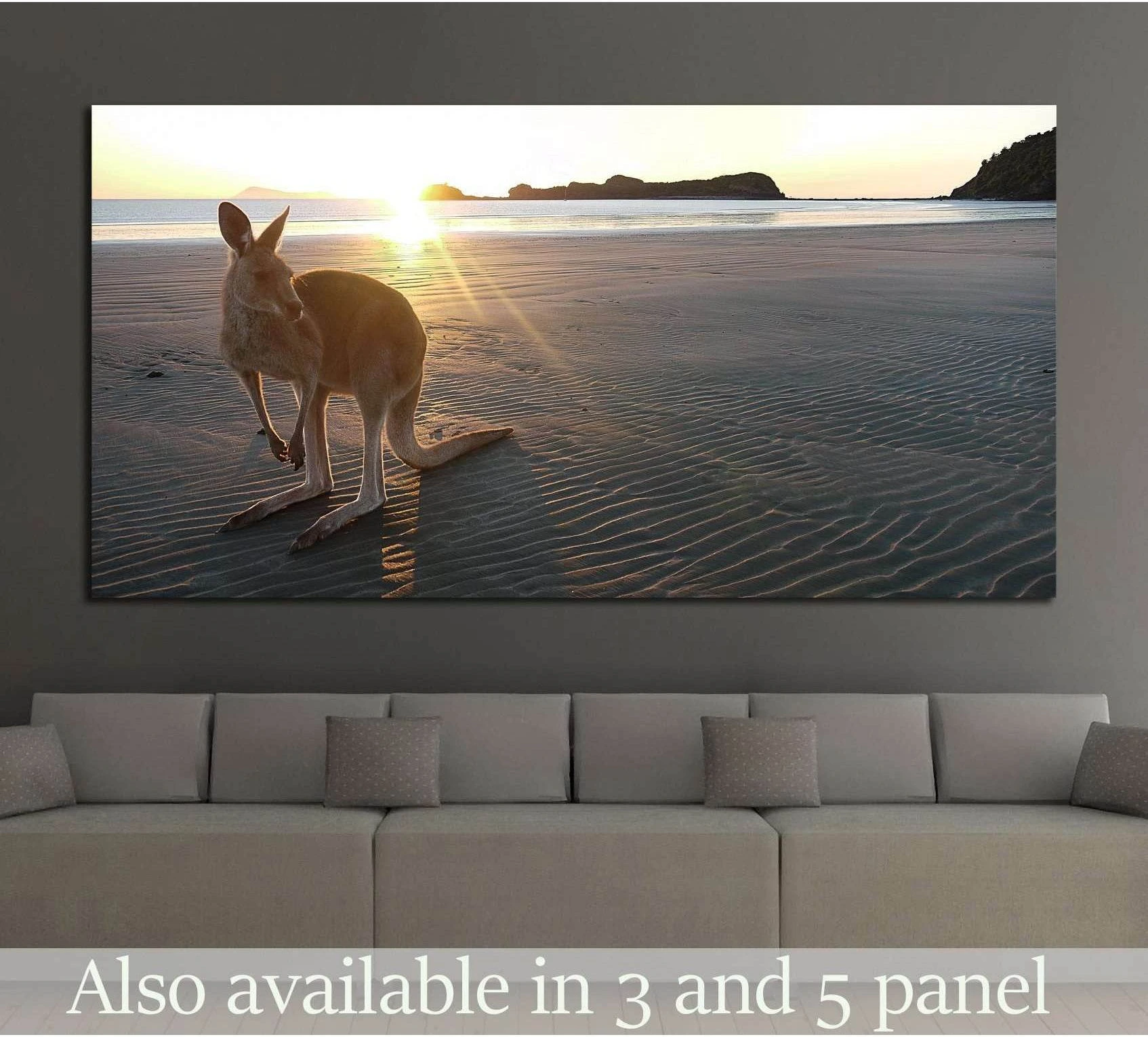 Kangaroo on Cape Hillsborough beach at sunrise canvas print above a sofa in a modern living room