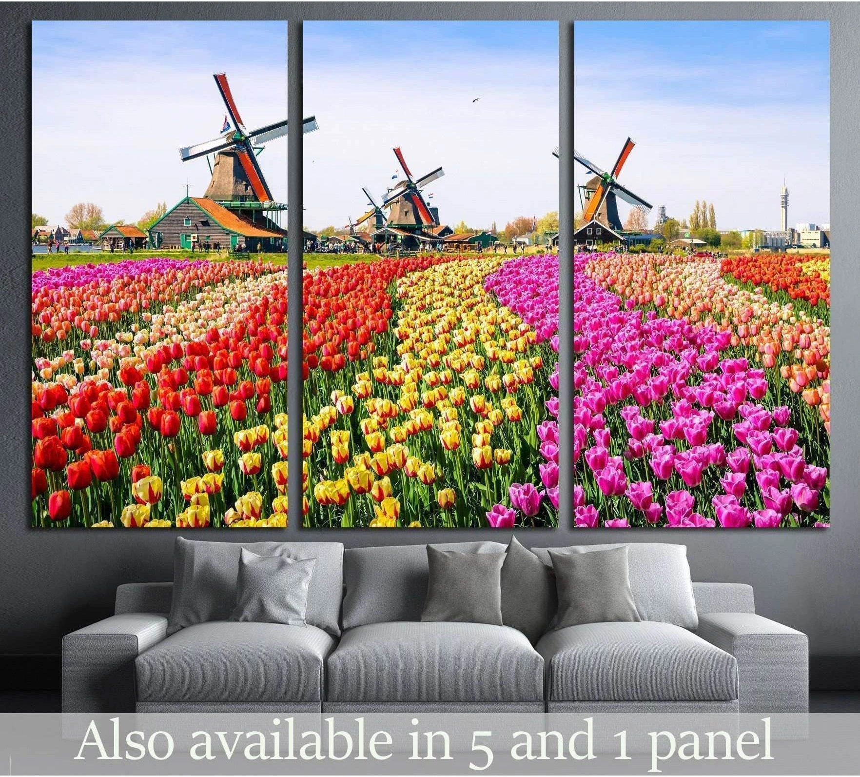 Triptych Zaanse Schans canvas print with Dutch windmills and colorful tulip fields above a gray sofa