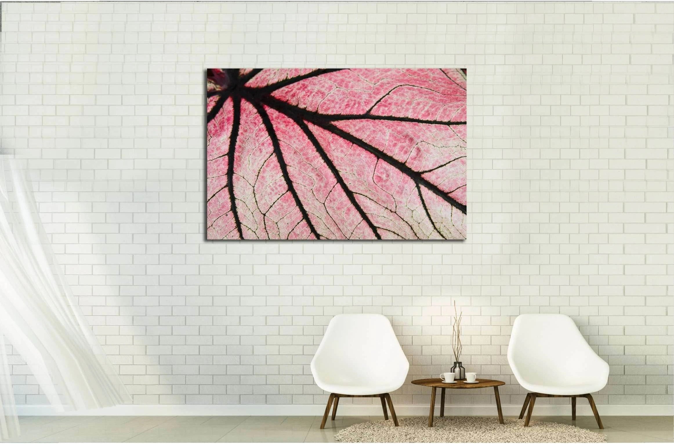 Leaf close up of Caladium №2829 Ready to Hang Canvas Print - Zellart Canvas Prints ALL_Products, s-2829
