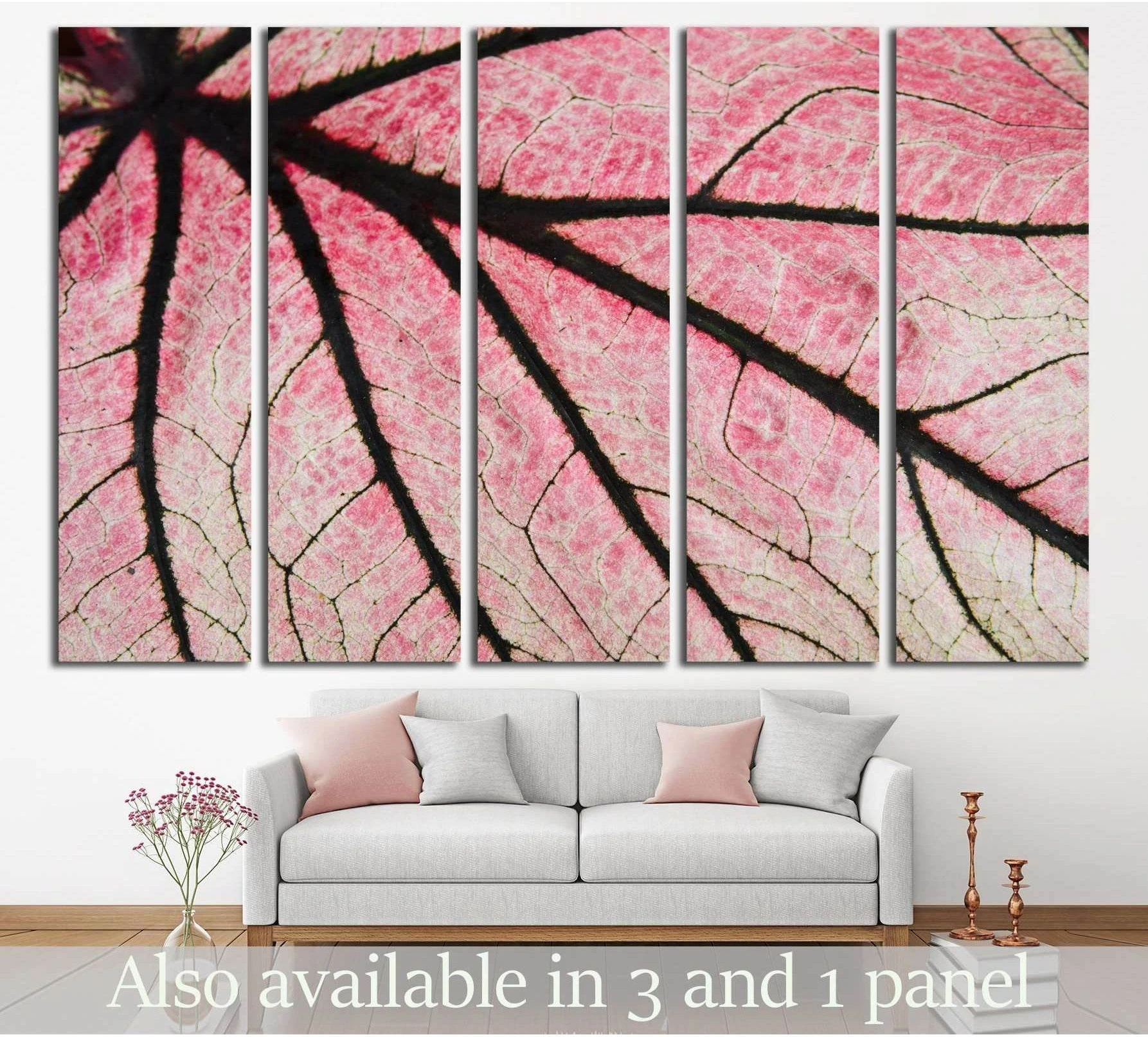 Pink caladium leaf canvas print with dark branching veins displayed above a sofa in a modern living room