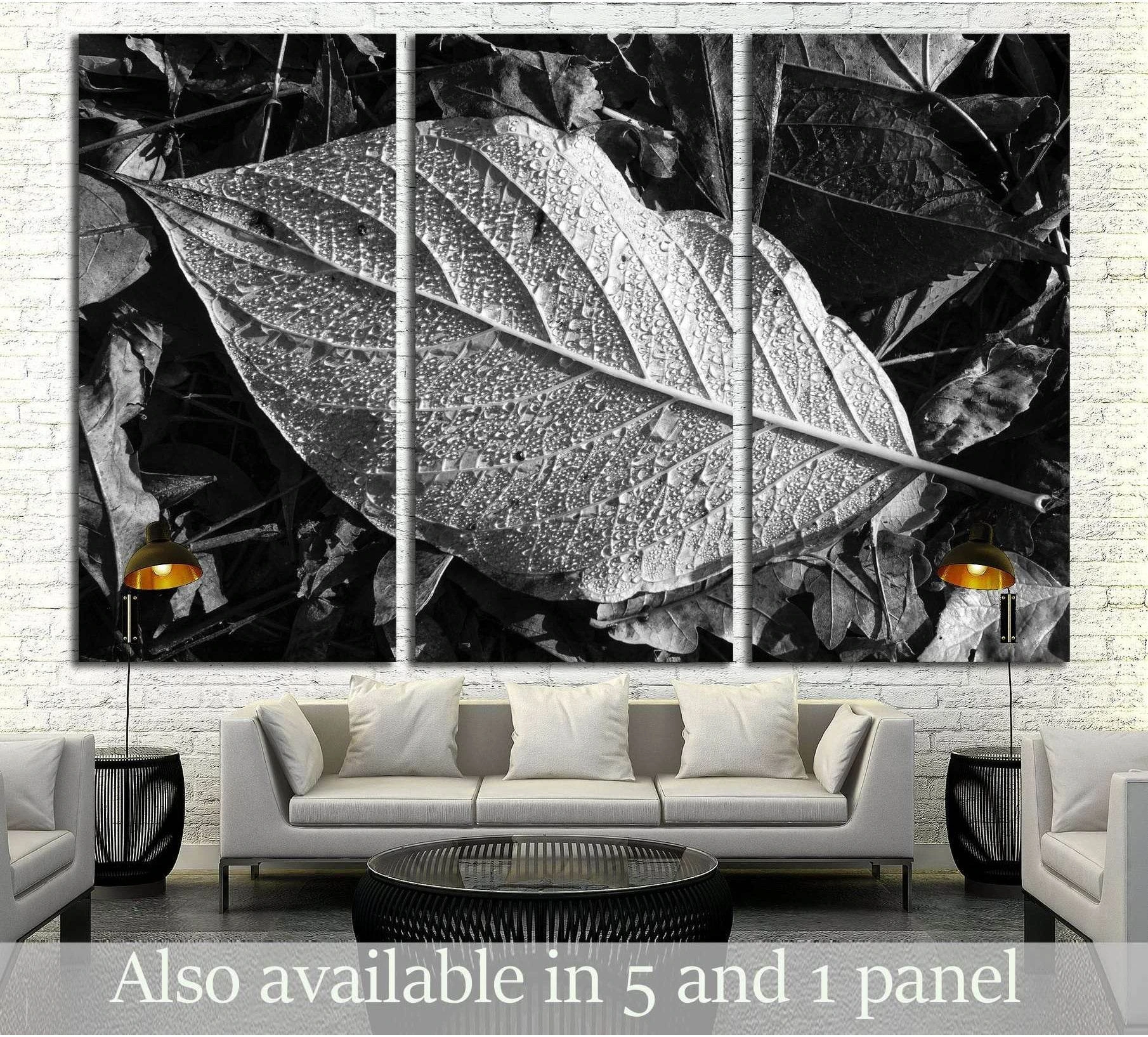 Black and white leaf macro canvas print with water droplets shown as a triptych above a sofa