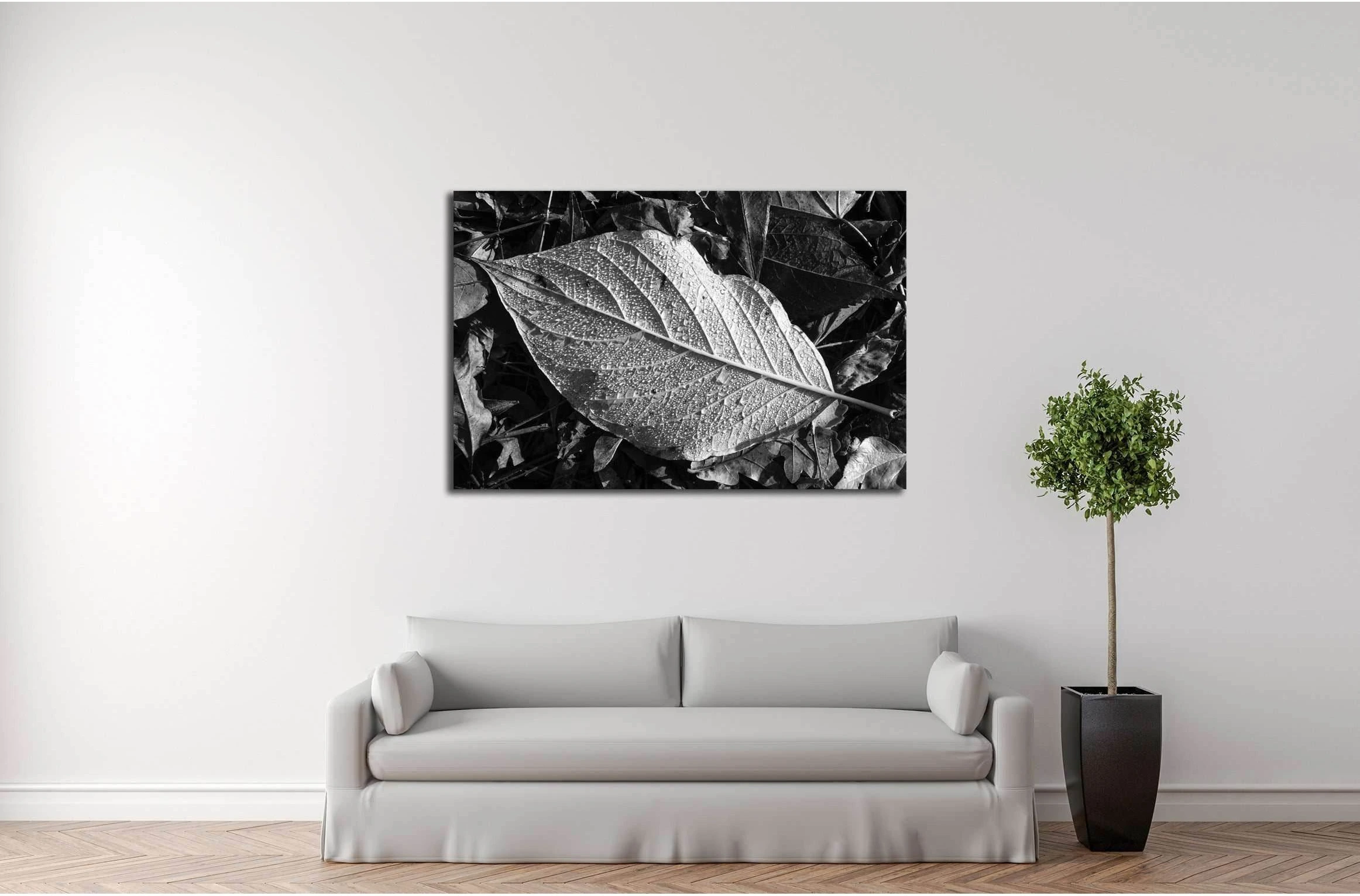 Leaf texture, detail, black and white №2838 Ready to Hang Canvas Print - Zellart Canvas Prints ALL_Products, s-2838