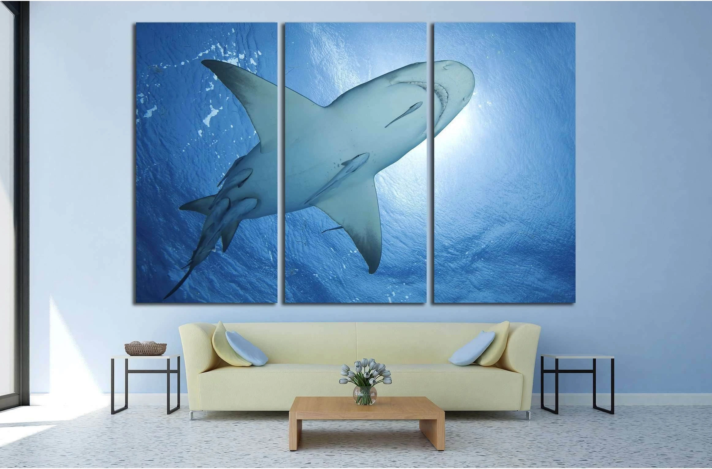 LEMON SHARK WITH REMORA SWIMMING AT THE SURFACE OF BAHAMAS №2358 Ready to Hang Canvas Print - Zellart Canvas Prints ALL_Products, s-2358