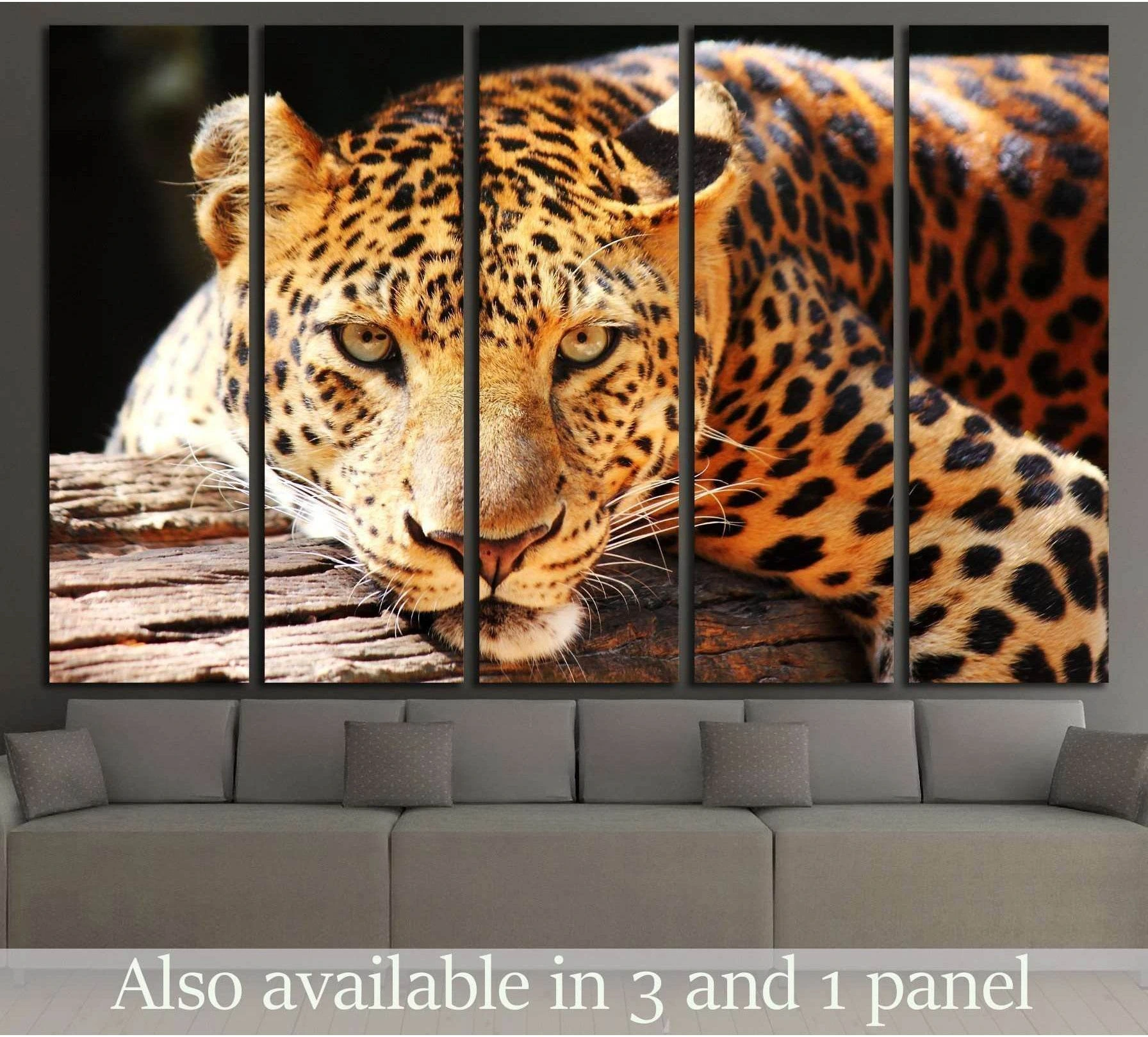 Close-up leopard canvas print with golden spotted fur resting on a tree trunk above a sofa