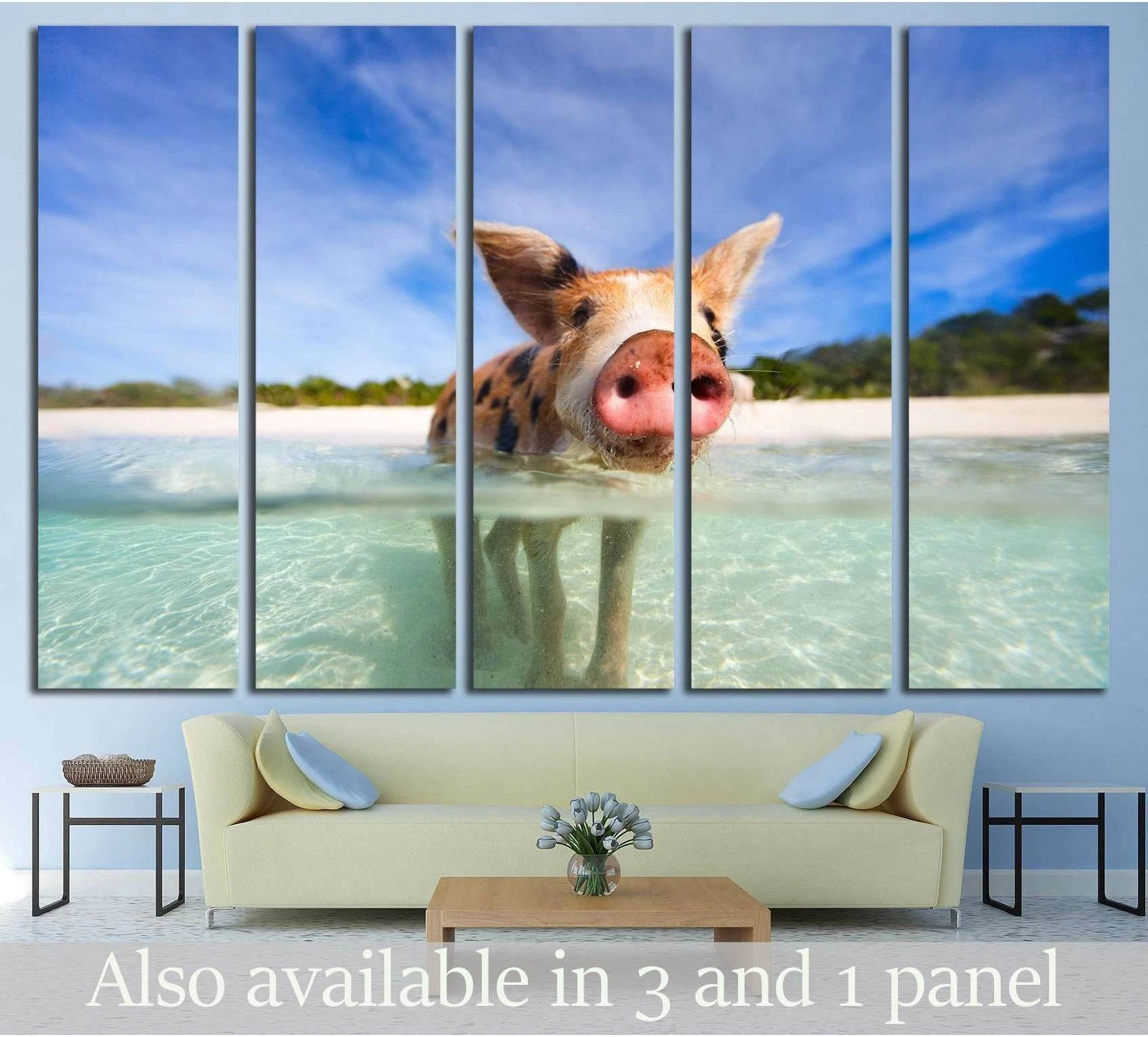 Little piglet in a water at beach on Exuma Bahamas showing sea water, shoreline and horizon depth.