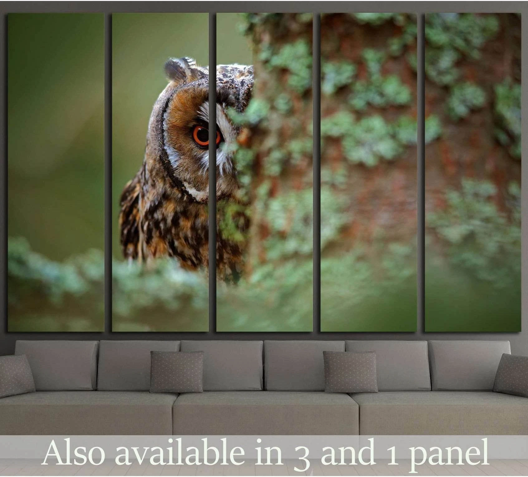 Long-eared owl canvas print peeking from behind a mossy larch tree, displayed above a sofa