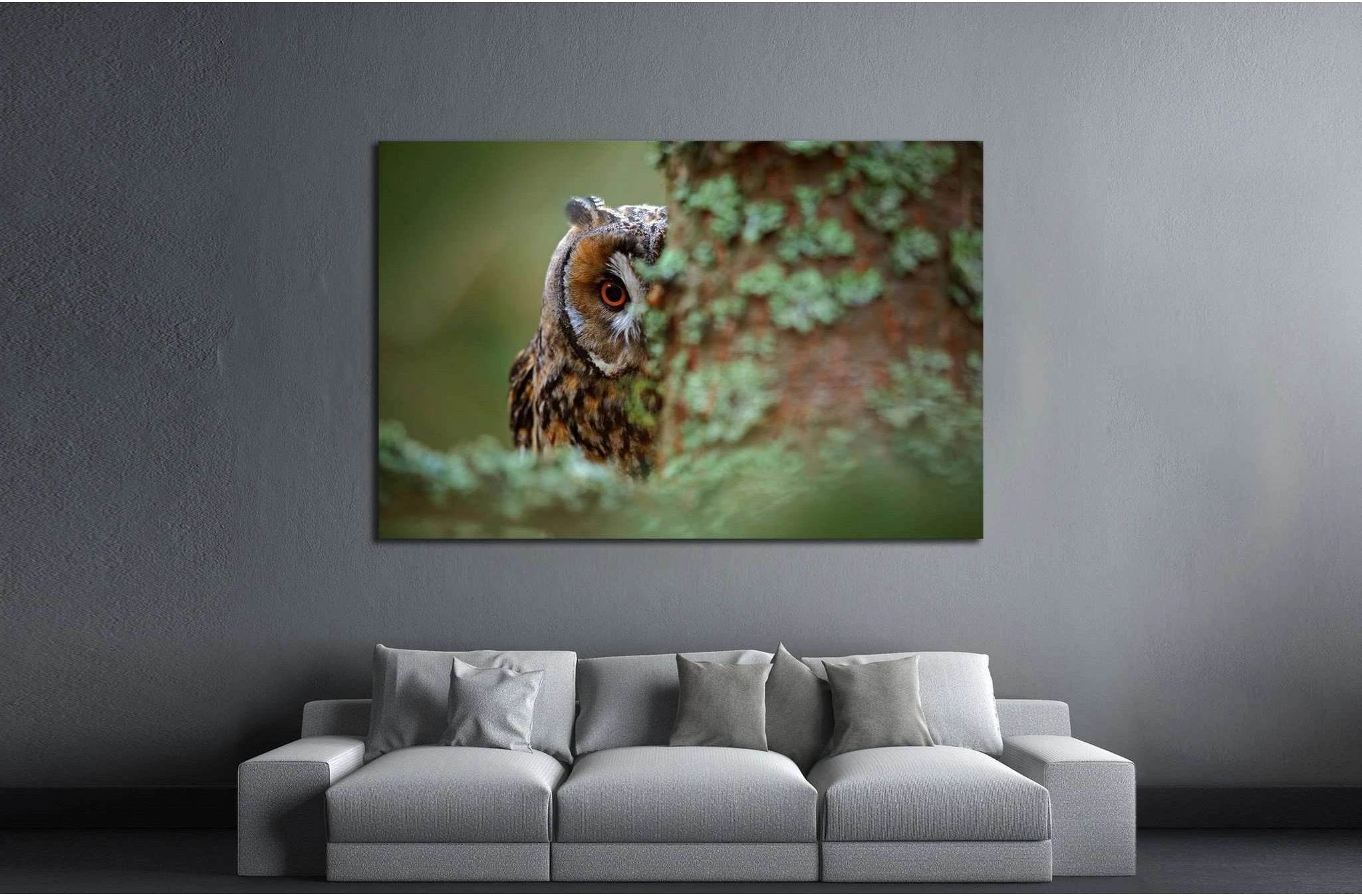 Long-eared Owl with big orange eyes behind larch tree trunk, Sweden №1861 Ready to Hang Canvas Print - Zellart Canvas Prints ALL_Products, Owl, s-1861