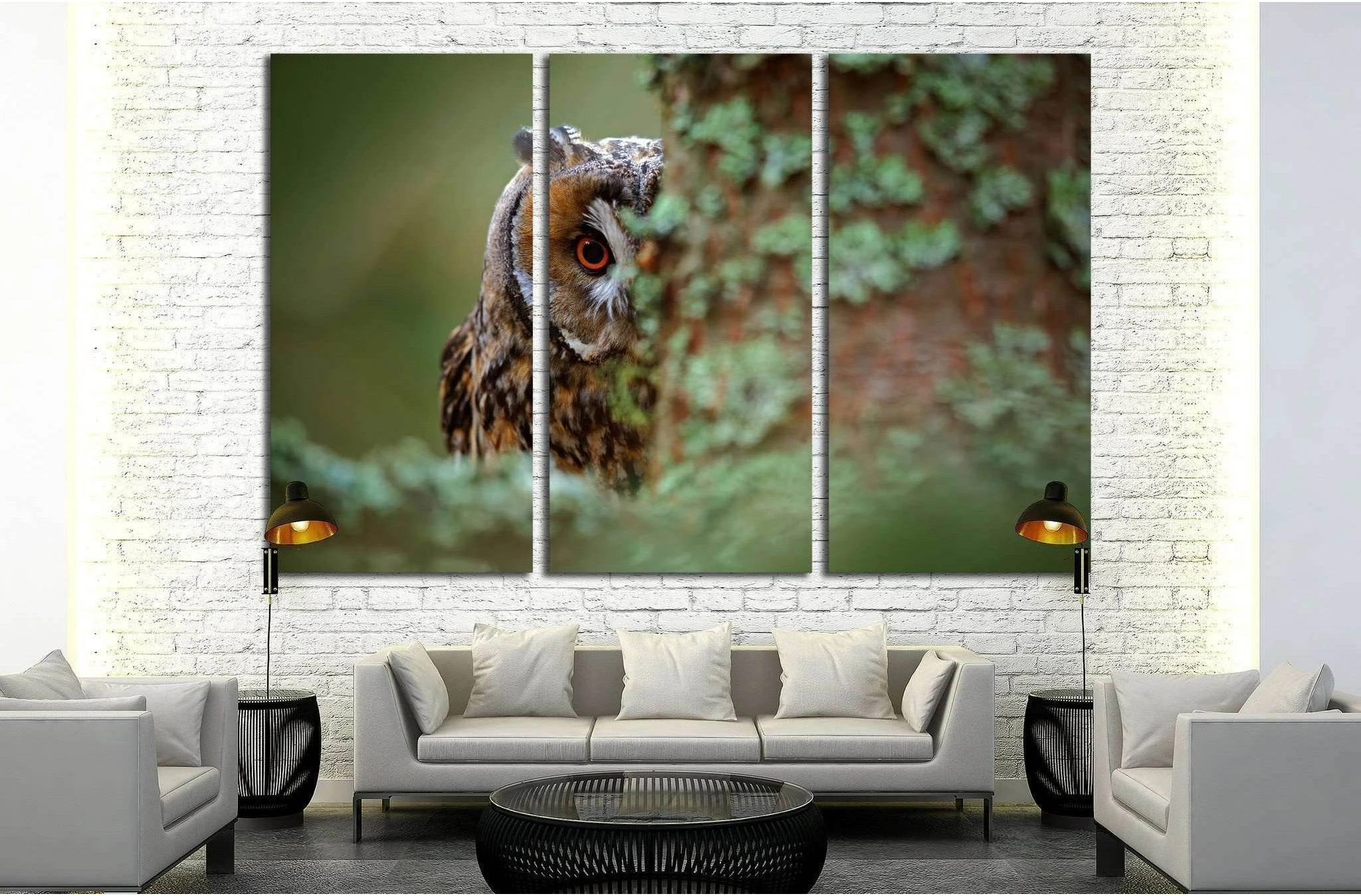 Long-eared Owl with big orange eyes behind larch tree trunk, Sweden №1861 Ready to Hang Canvas Print - Zellart Canvas Prints ALL_Products, Owl, s-1861