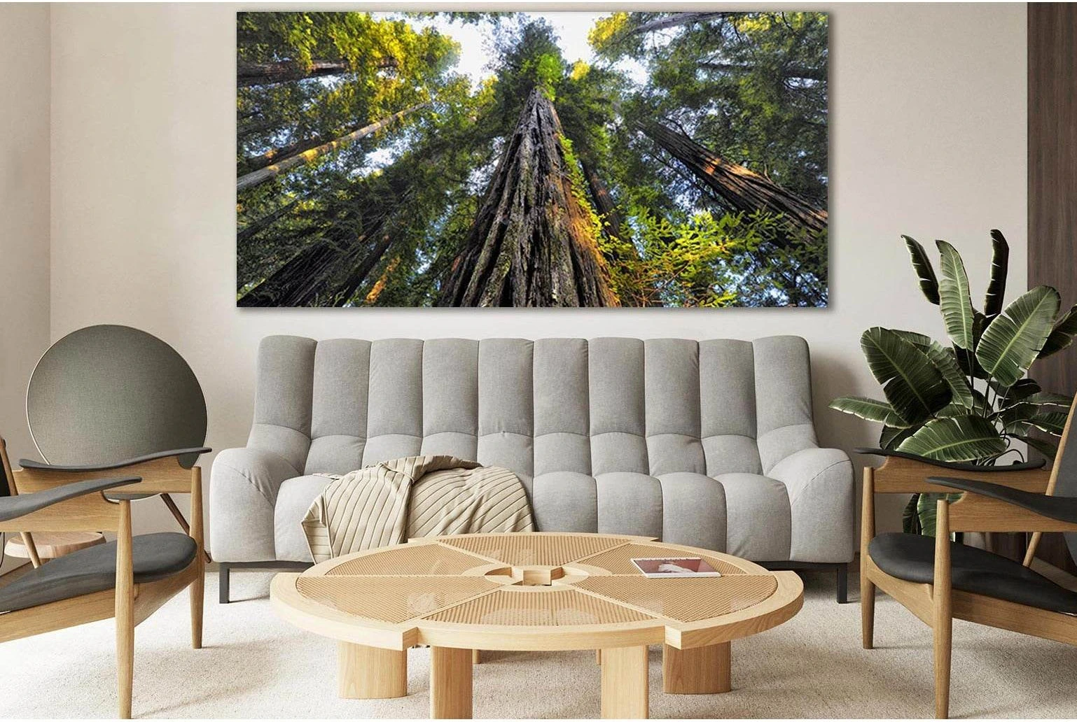 Looking Up At Trees №SL817 Ready to Hang Canvas Print - Zellart Canvas Prints 0new, ALL_Products, Trees Wall Art