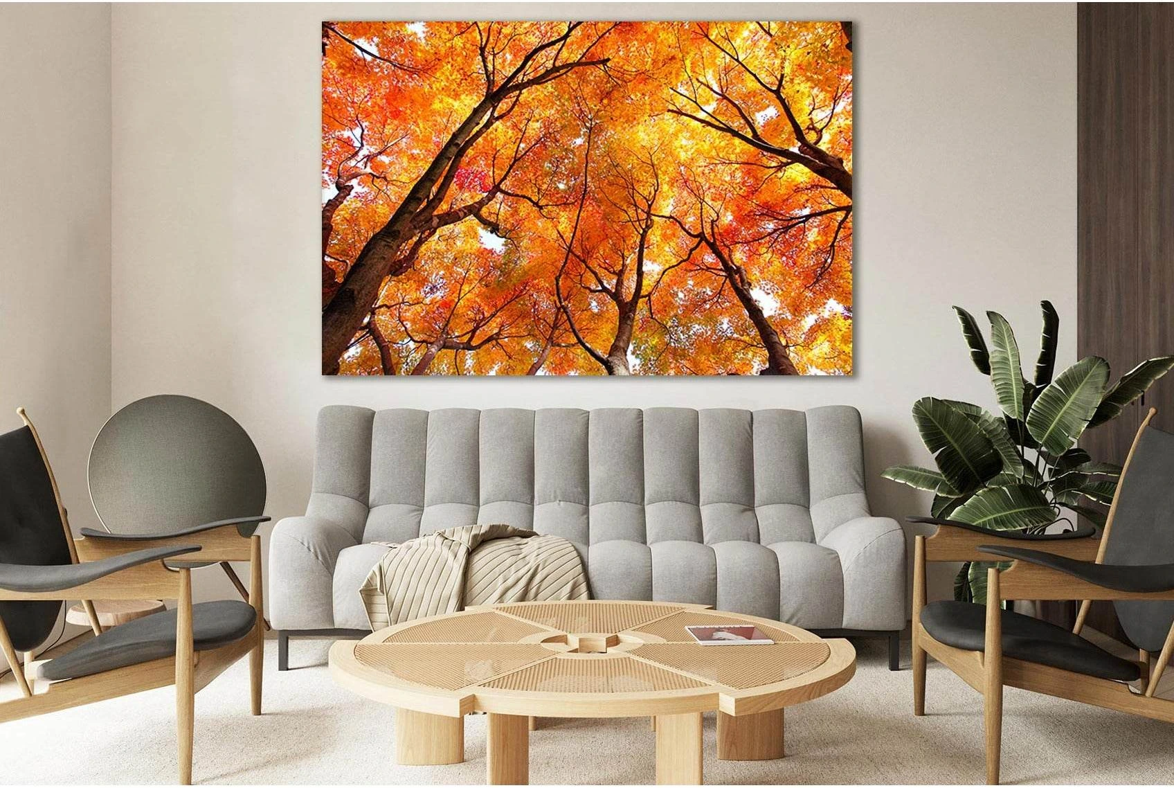 Maple Tree In Autumn №SL656 Ready to Hang Canvas Print - Zellart Canvas Prints 0new, ALL_Products, Autumn Wall Art