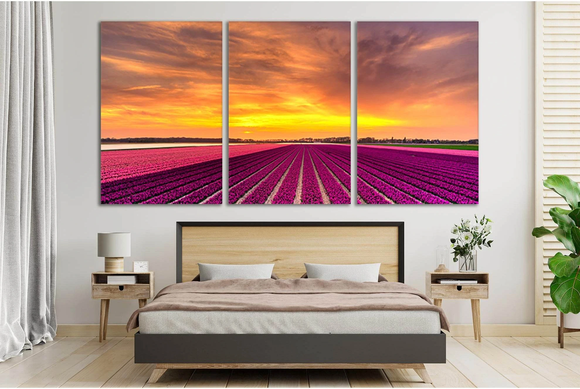 Netherlands Flowers Field Sunset №SL232 Ready to Hang Canvas Print - Zellart Canvas Prints 0new, ALL_Products, SUNRISE & SUNSET WALL ART