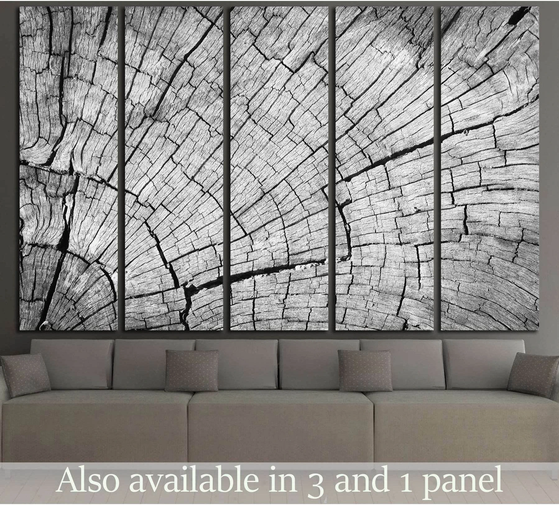 Gray cracked wood tree rings canvas print in five-panel black and white wall art display above sofa