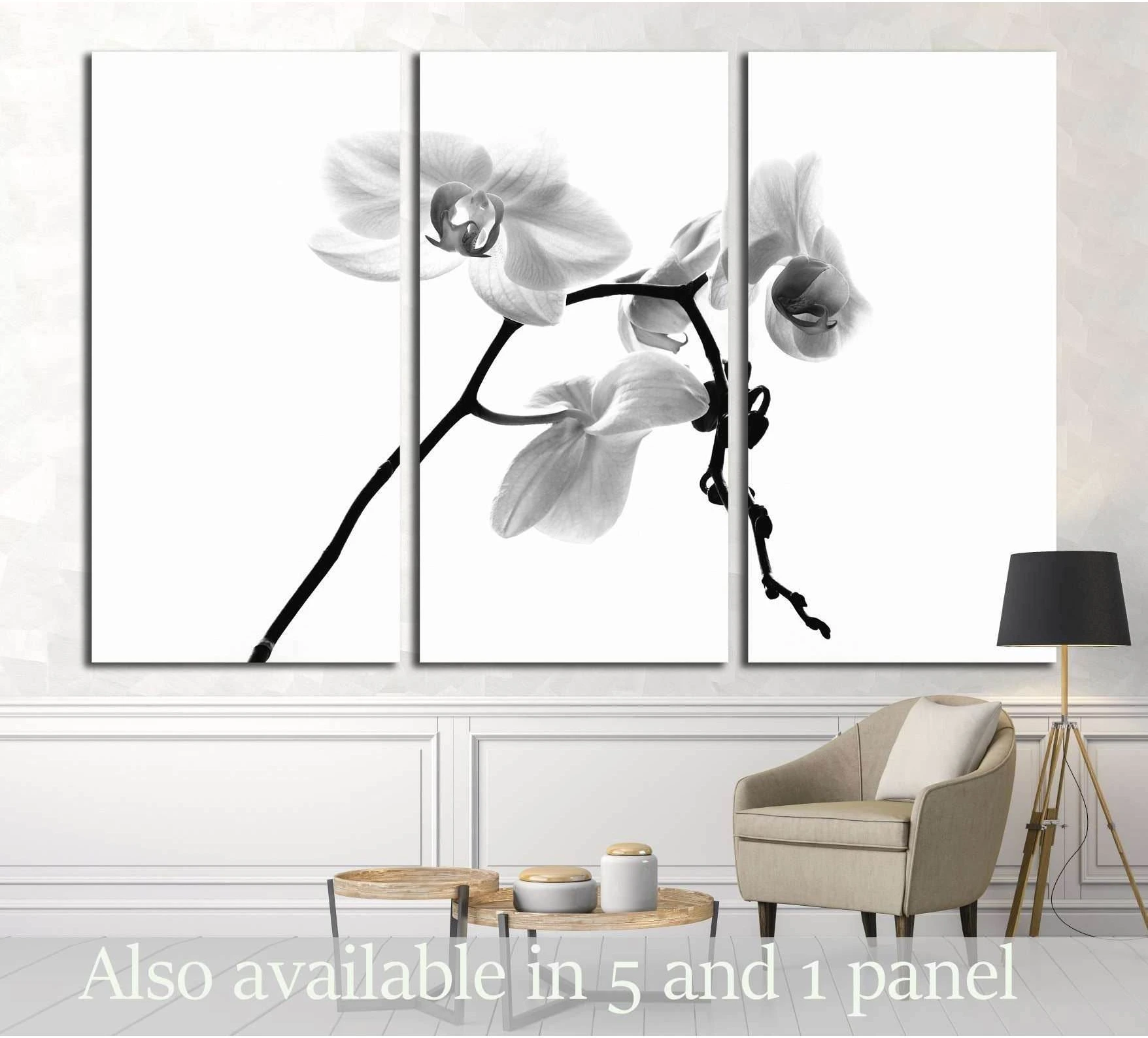 Black and white orchid triptych canvas print on a white background above a chair in a minimalist room
