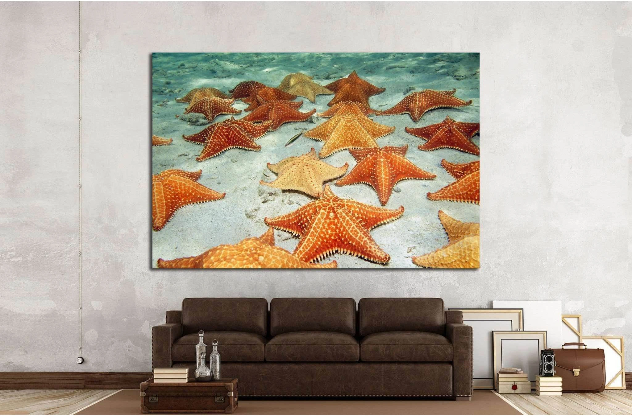 Plenty of cushion starfish on a sandy ocean floor №1395 Ready to Hang Canvas Print - Zellart Canvas Prints ALL_Products, s-1395