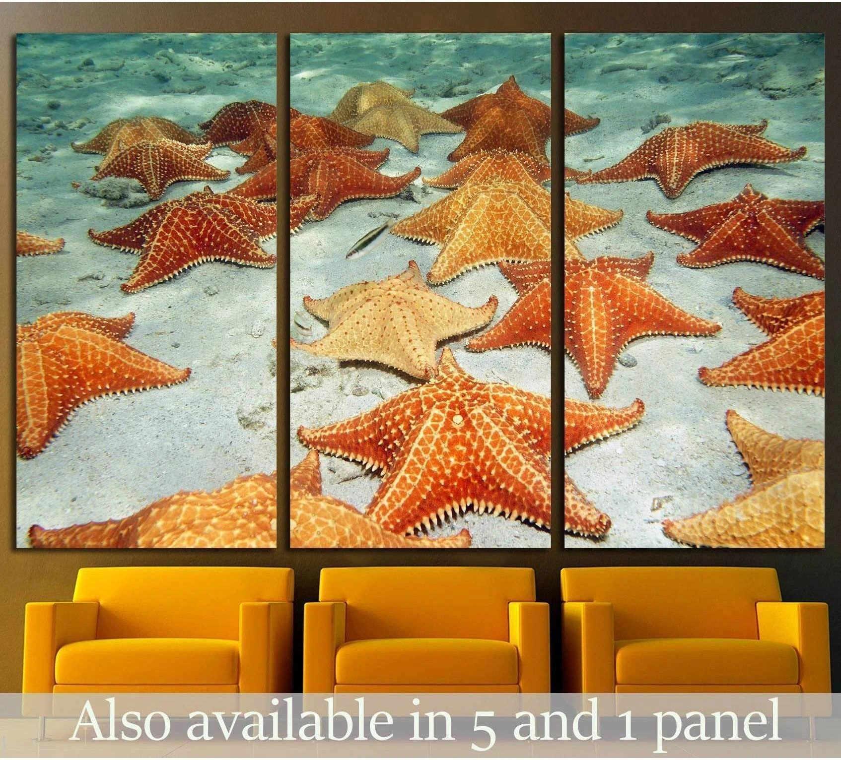 Plenty of cushion starfish on a sandy ocean floor showing blue ocean wall art with water and coastal depth.