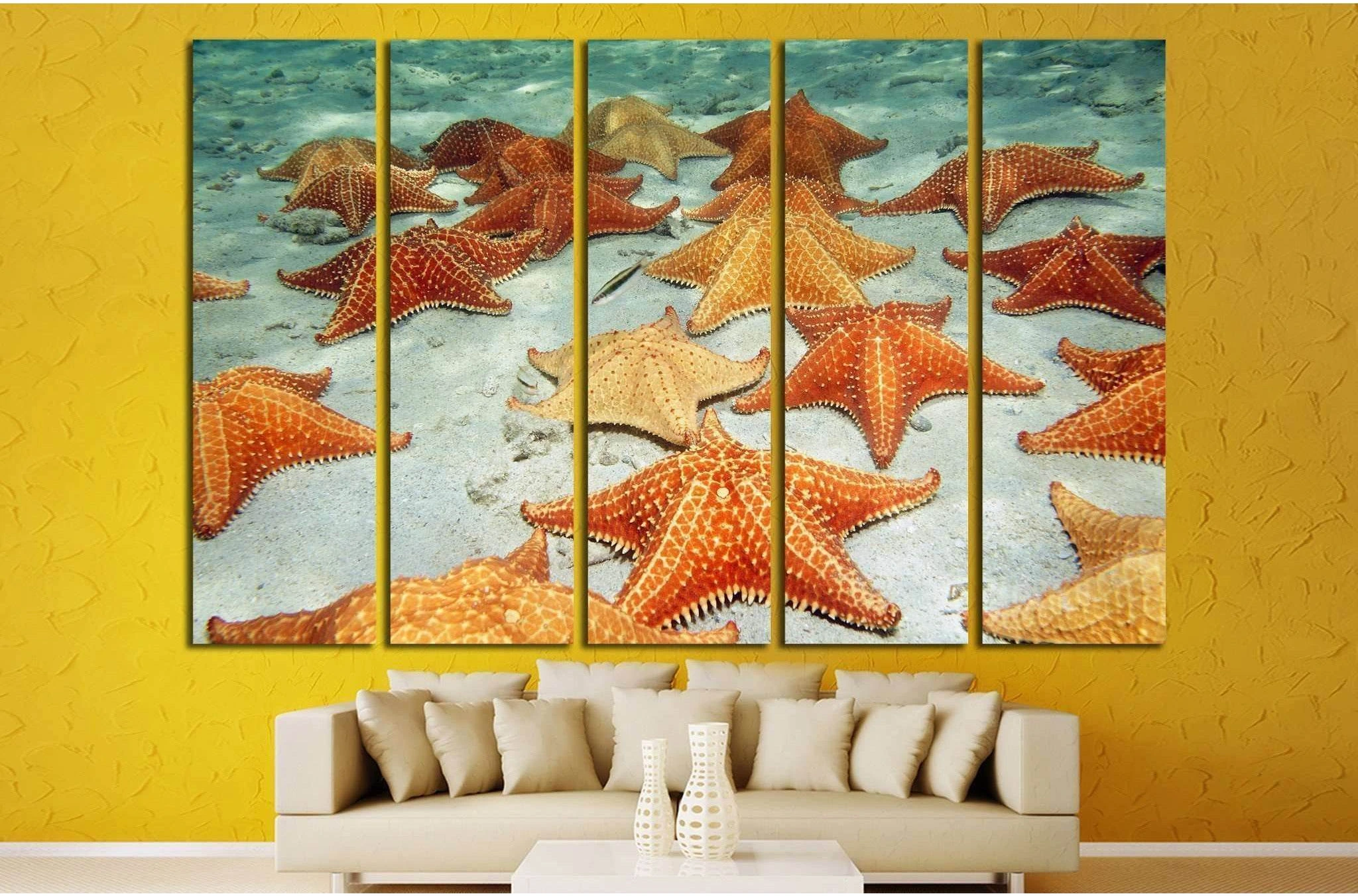 Plenty of cushion starfish on a sandy ocean floor №1395 Ready to Hang Canvas Print - Zellart Canvas Prints ALL_Products, s-1395