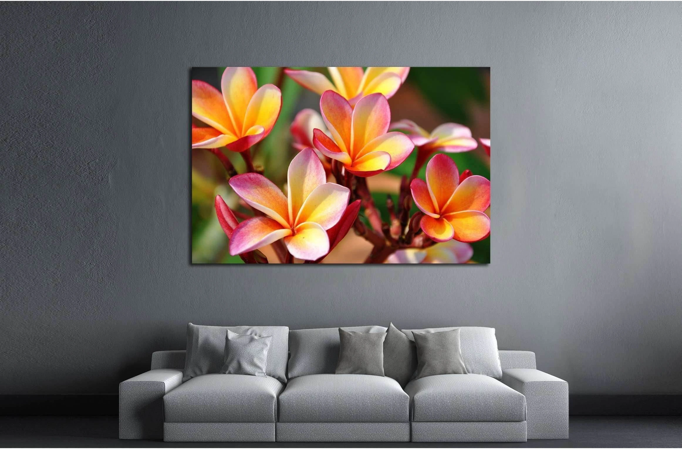 Plumeria. Beautiful pink inflorescence. №2556 Ready to Hang Canvas Print - Zellart Canvas Prints ALL_Products, s-2556