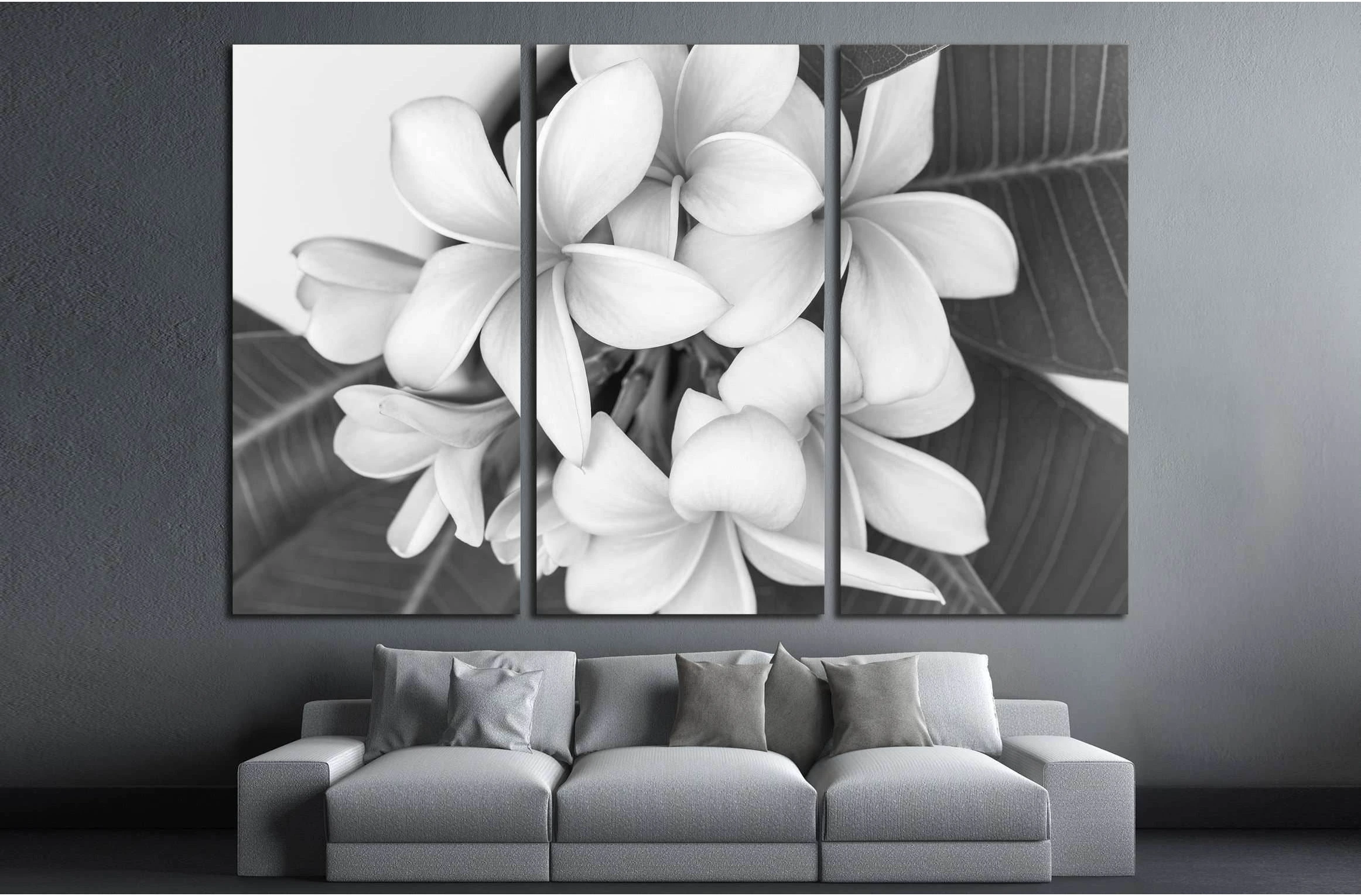 Plumeria or frangipani flower, Tropical flower . Black and white photography. №2839 Ready to Hang Canvas Print - Zellart Canvas Prints ALL_Products, s-2839