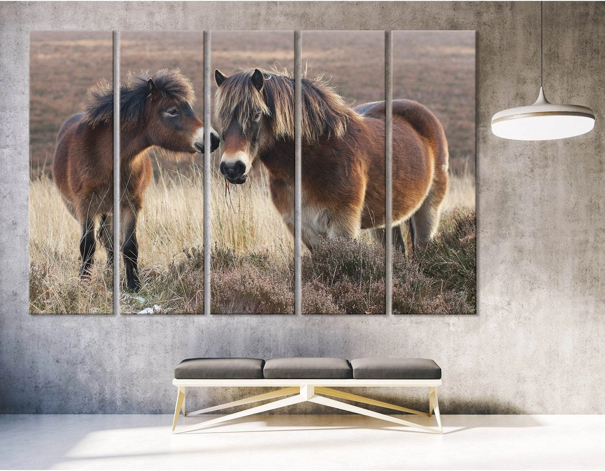 Pony And Horse On Moorland In Exmoor №04231 Ready to Hang Canvas Print - Zellart Canvas Prints ALL_Products, Horses