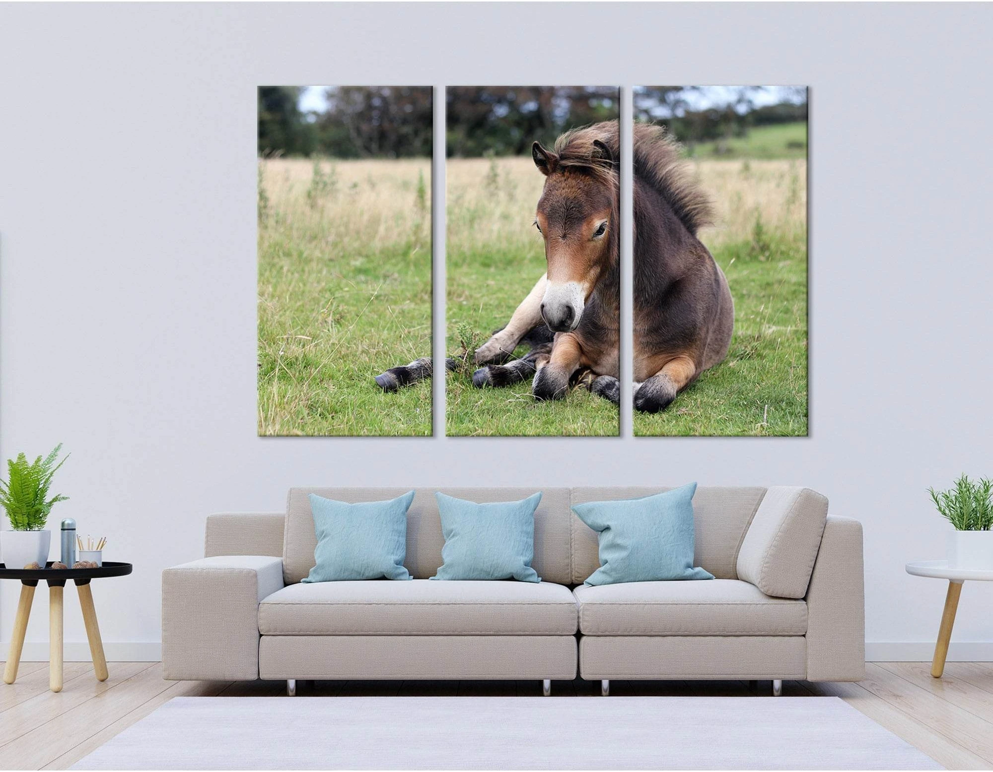 Pony Lying On The Grass In Exmoor №04246 Ready to Hang Canvas Print - Zellart Canvas Prints ALL_Products