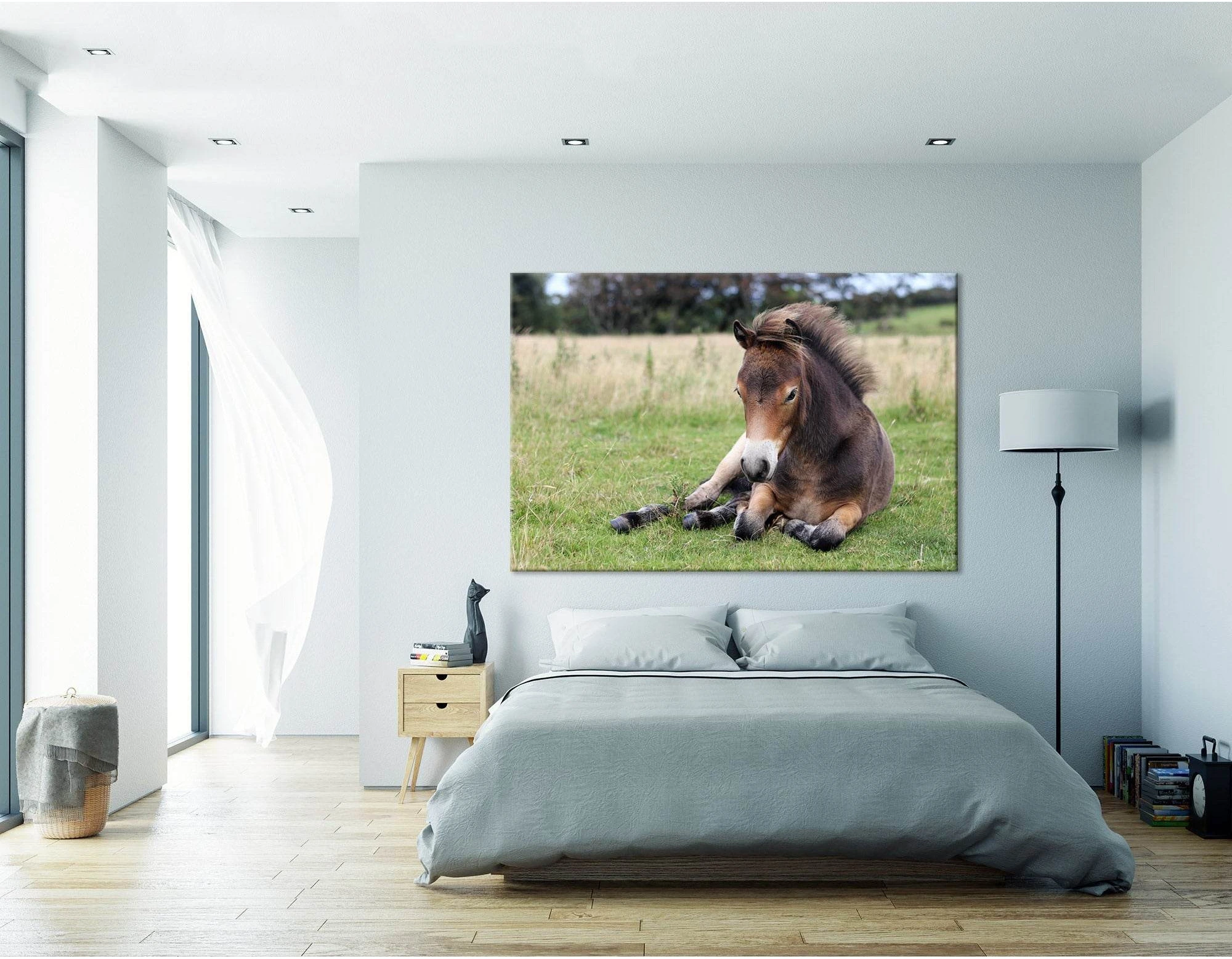 Pony Lying On The Grass In Exmoor №04246 Ready to Hang Canvas Print - Zellart Canvas Prints ALL_Products