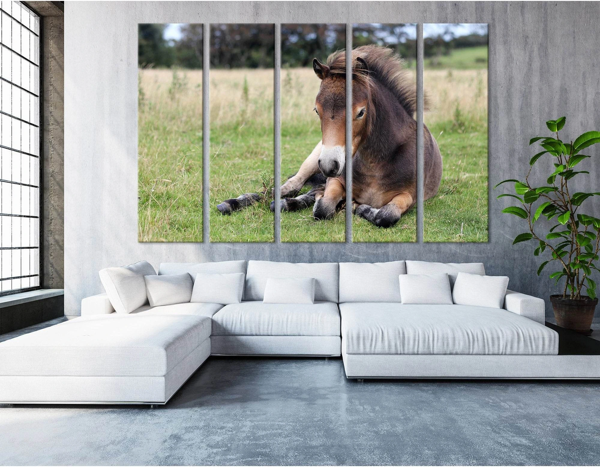 Pony Lying On The Grass In Exmoor №04246 Ready to Hang Canvas Print - Zellart Canvas Prints ALL_Products