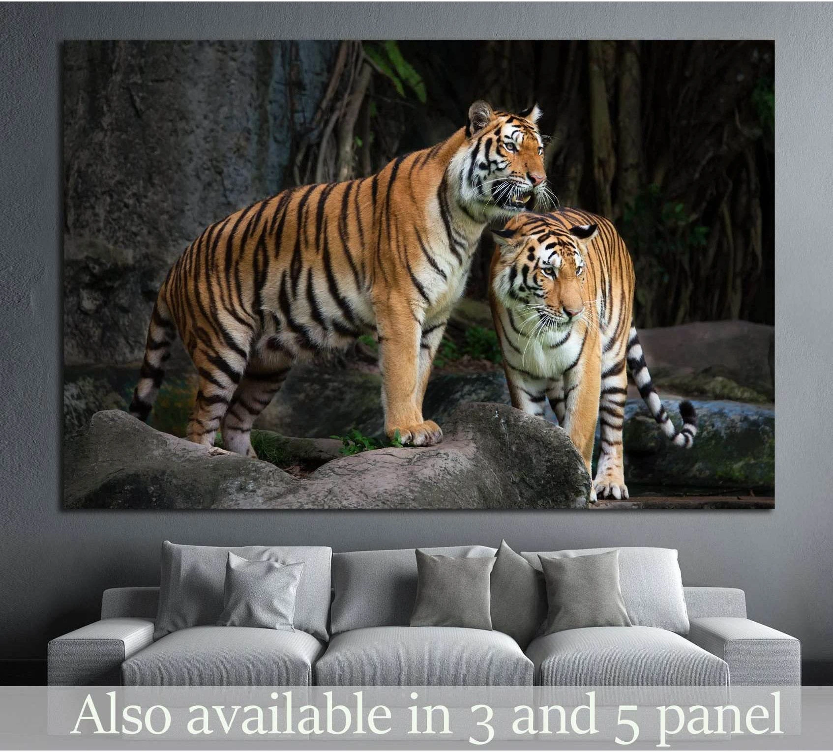 Two Royal Bengal tigers canvas print on rocky ground in a dark jungle setting above a sofa