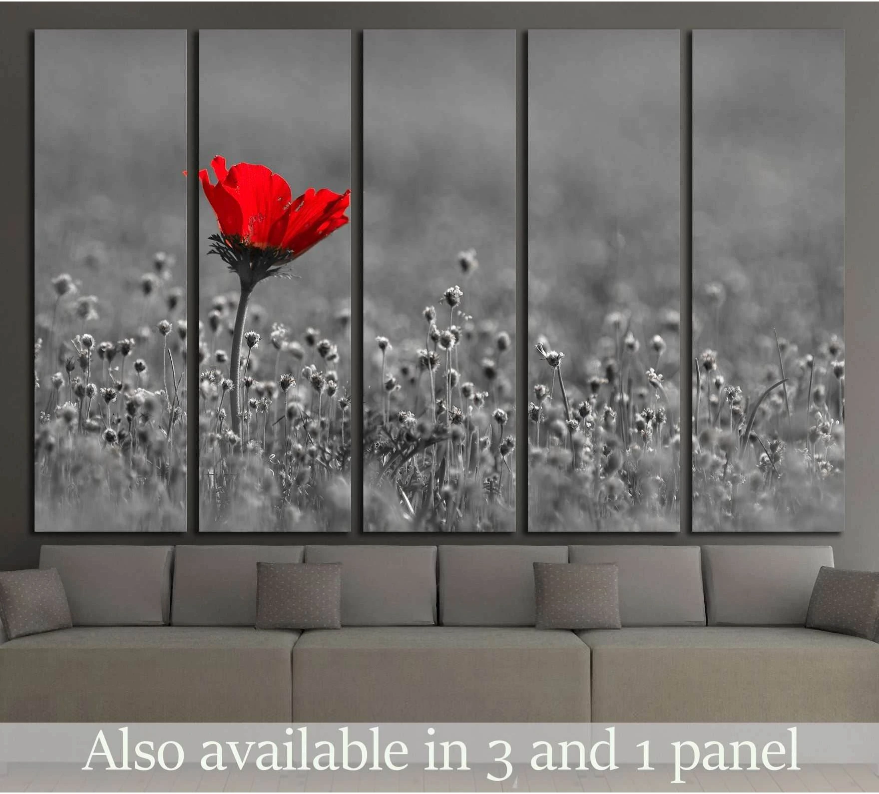 Red poppy canvas print in a black and white wildflower field, shown as 5-panel wall art