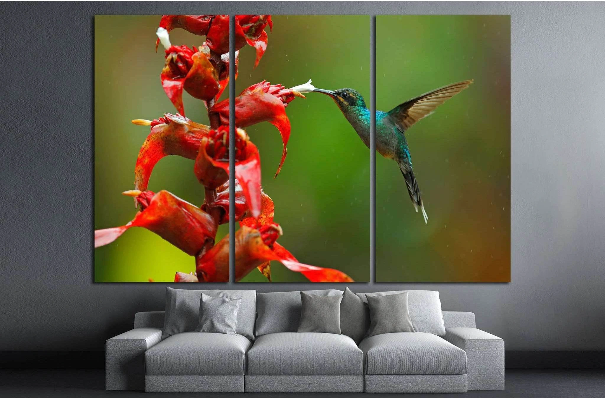 Rare hummingbird from Costa Rica №1445 Ready to Hang Canvas Print - Zellart Canvas Prints ALL_Products, s-1445
