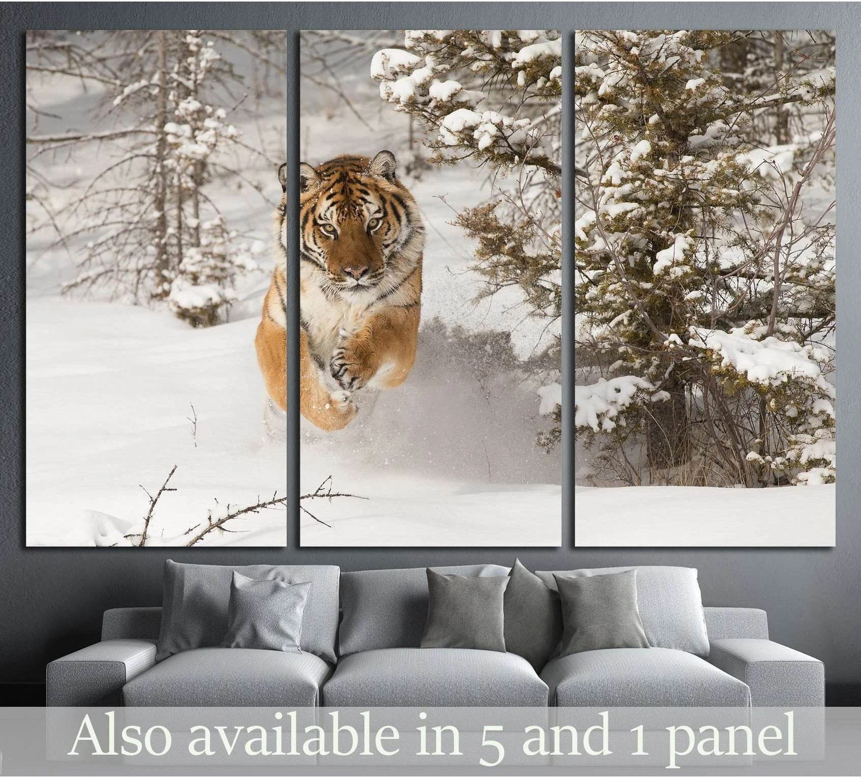 Siberian tiger running through snow between forest trees canvas print displayed above a sofa