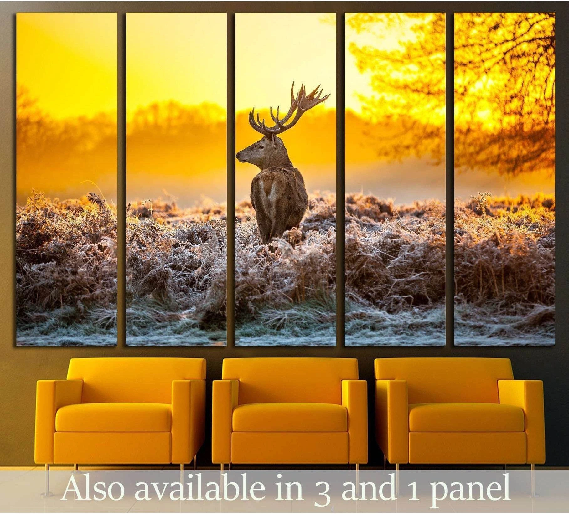 Five-panel red deer canvas print above chairs showing a stag in frosted grass at sunrise