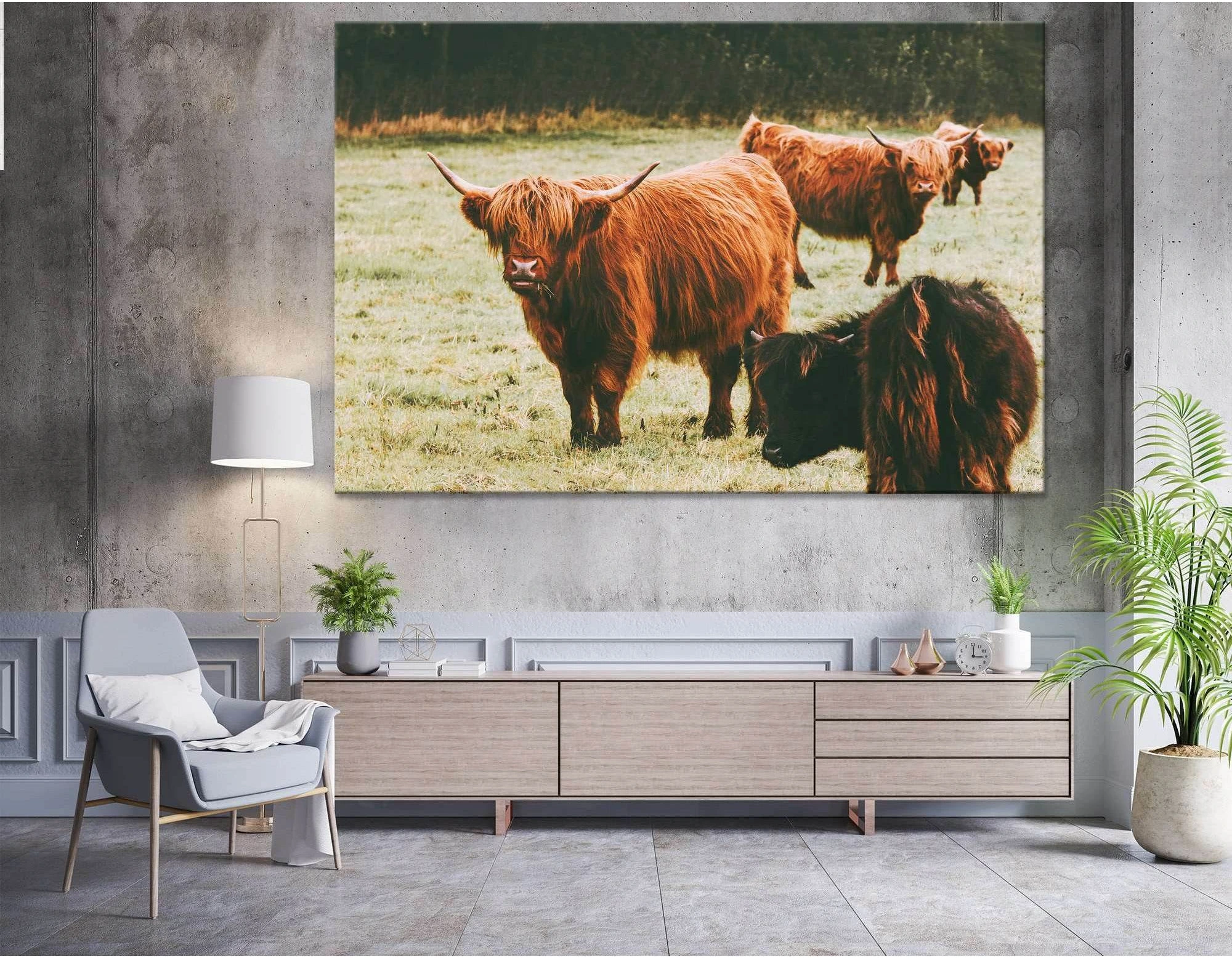 Scottish Highland Cattle №04124 Ready to Hang Canvas Print - Zellart Canvas Prints ALL_Products