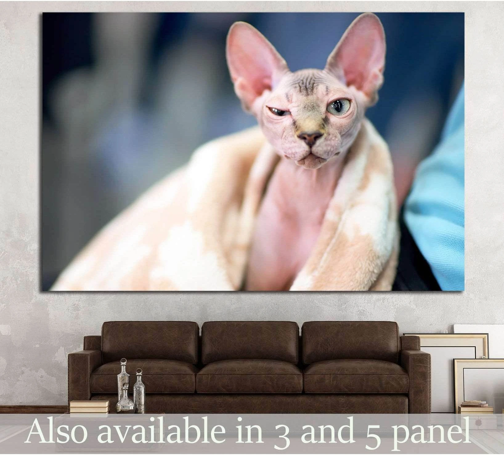 Sphynx cat canvas print hung above a brown sofa in a modern living room with soft neutral tones