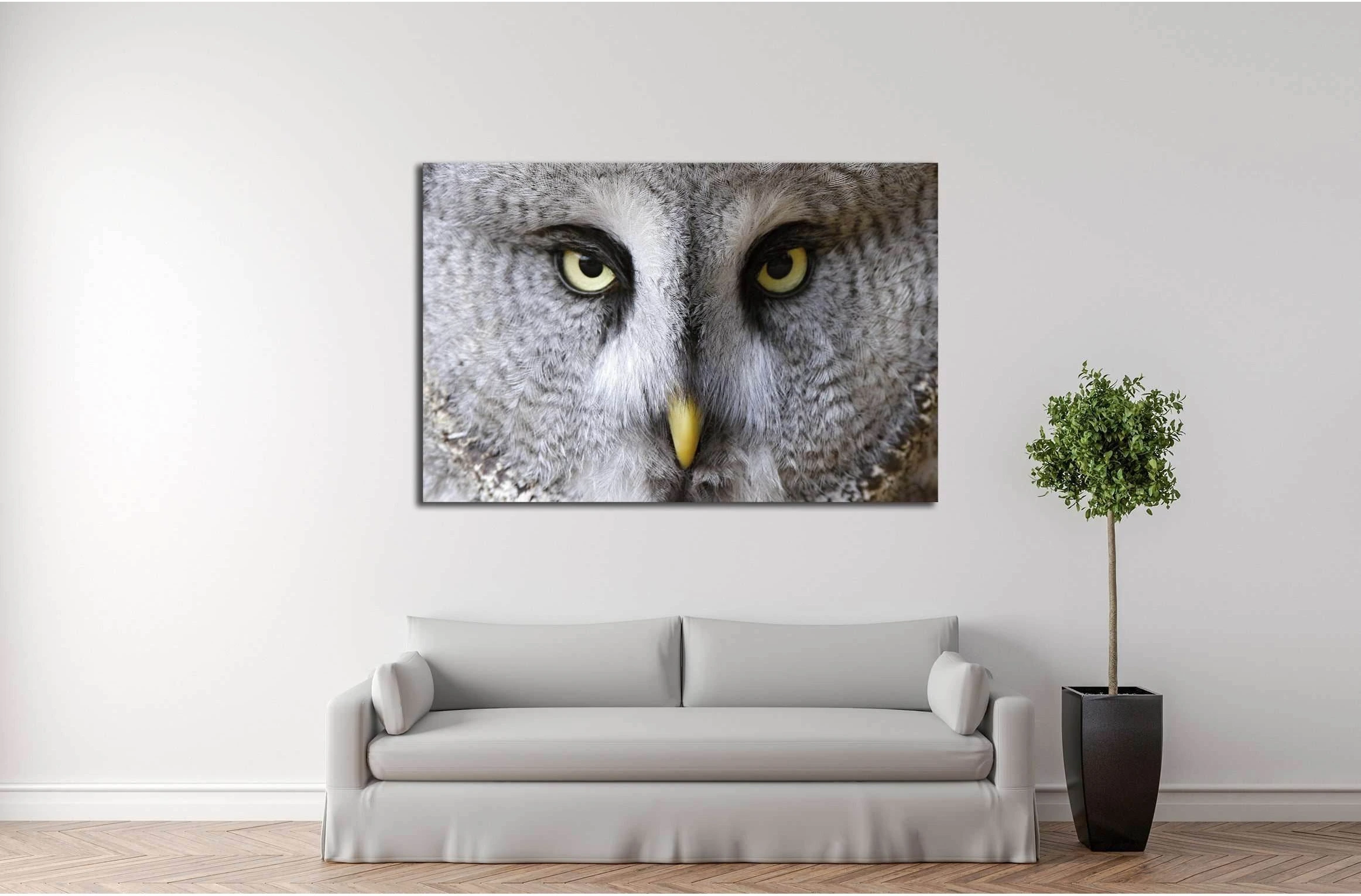 snow owl portrait №2784 Ready to Hang Canvas Print - Zellart Canvas Prints ALL_Products, Owl, s-2784
