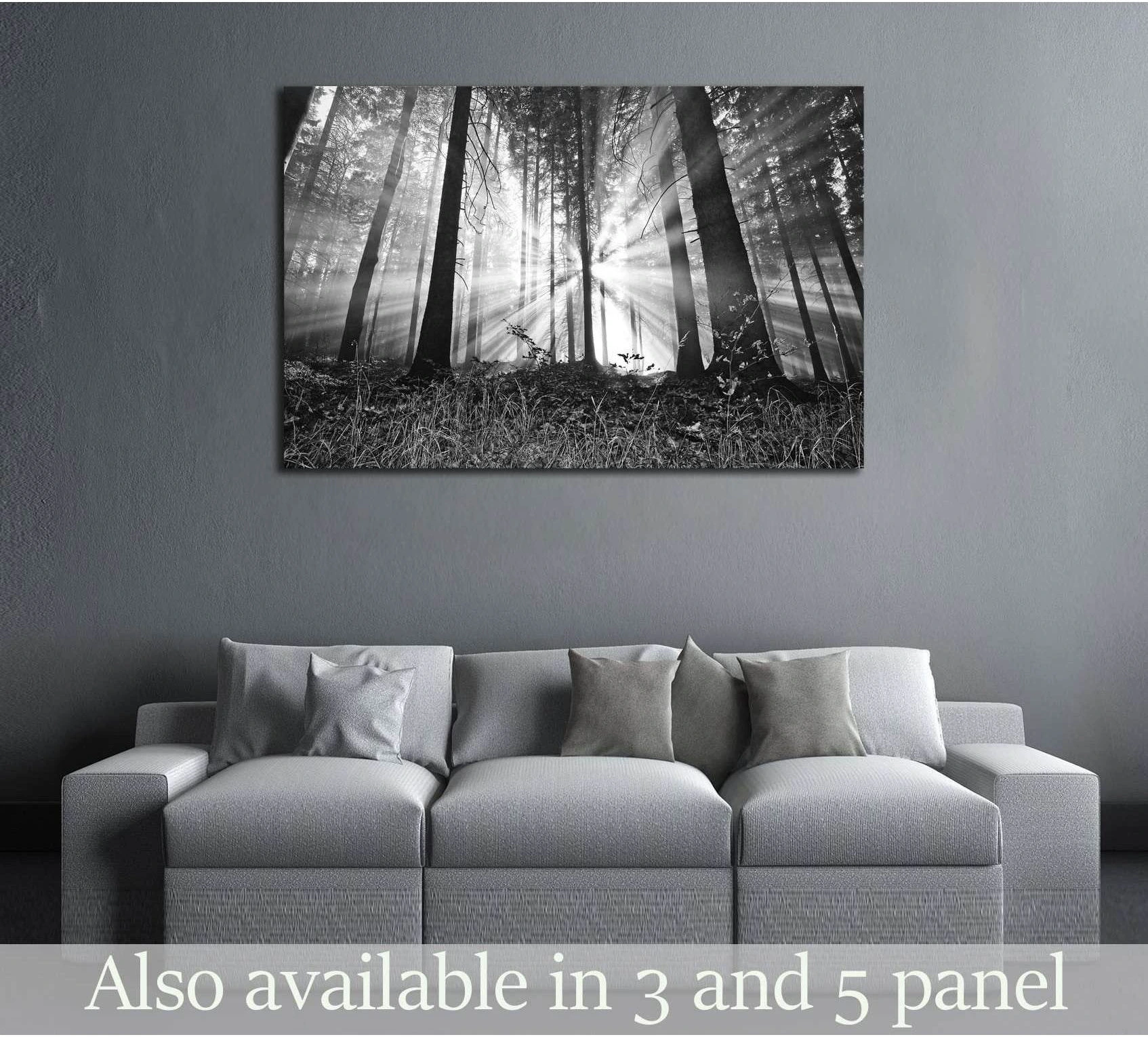 Black and white forest canvas print with sunrise rays through tall pine trees above a sofa