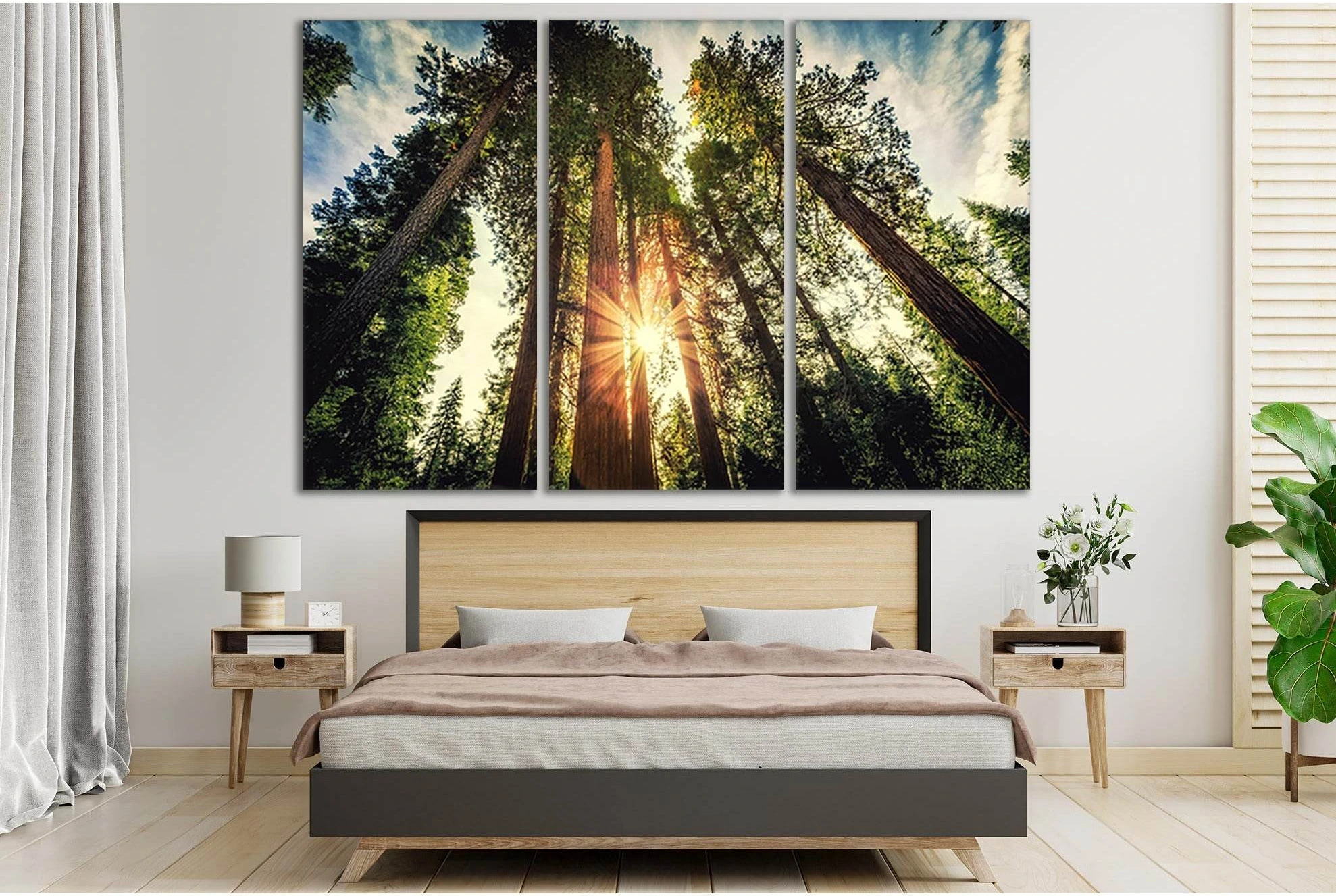 Tall Forest Sequoias №SL523 Ready to Hang Canvas Print - Zellart Canvas Prints 0new, ALL_Products, Trees Wall Art