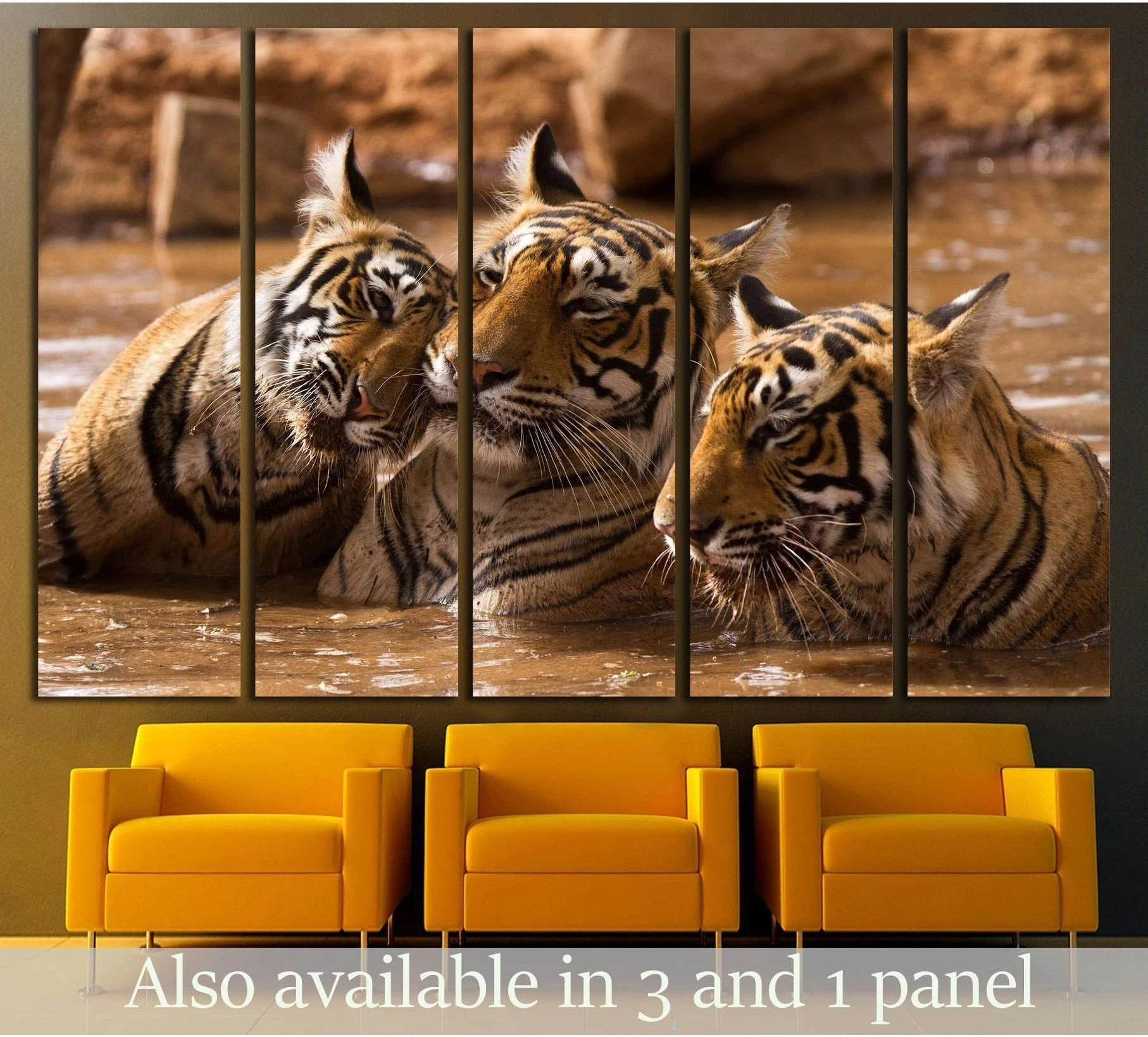 Tiger family canvas print with three Bengal tigers in water as five-panel wall art