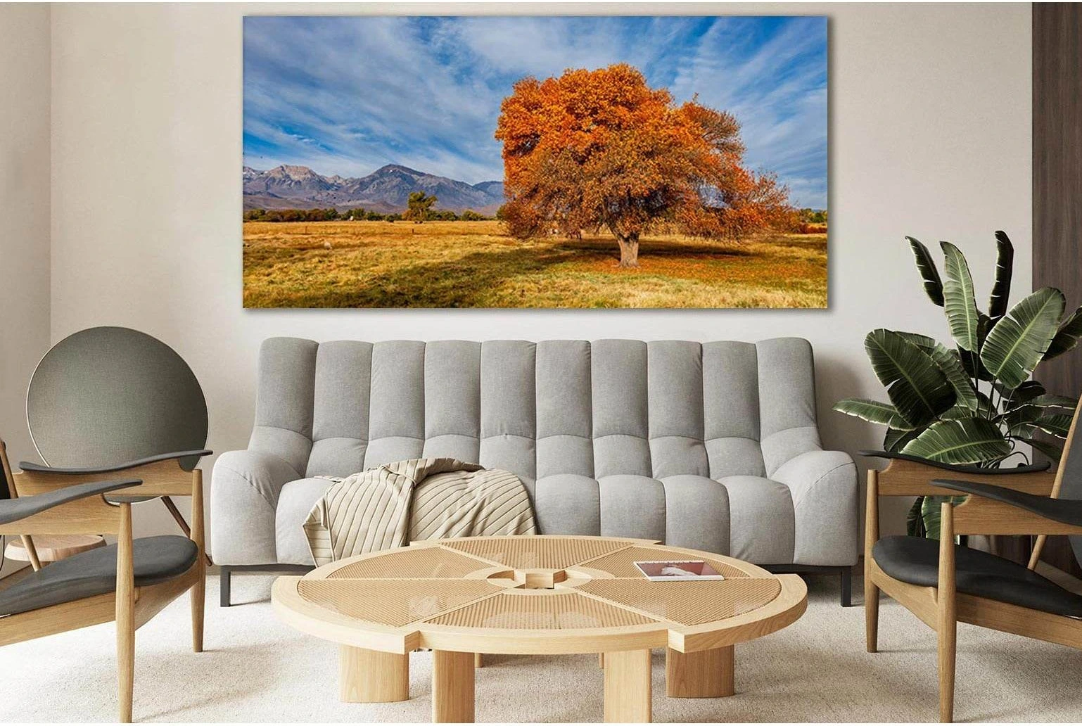 Tree In Sierra Trailer Park №SL813 Ready to Hang Canvas Print - Zellart Canvas Prints 0new, ALL_Products, Trees Wall Art