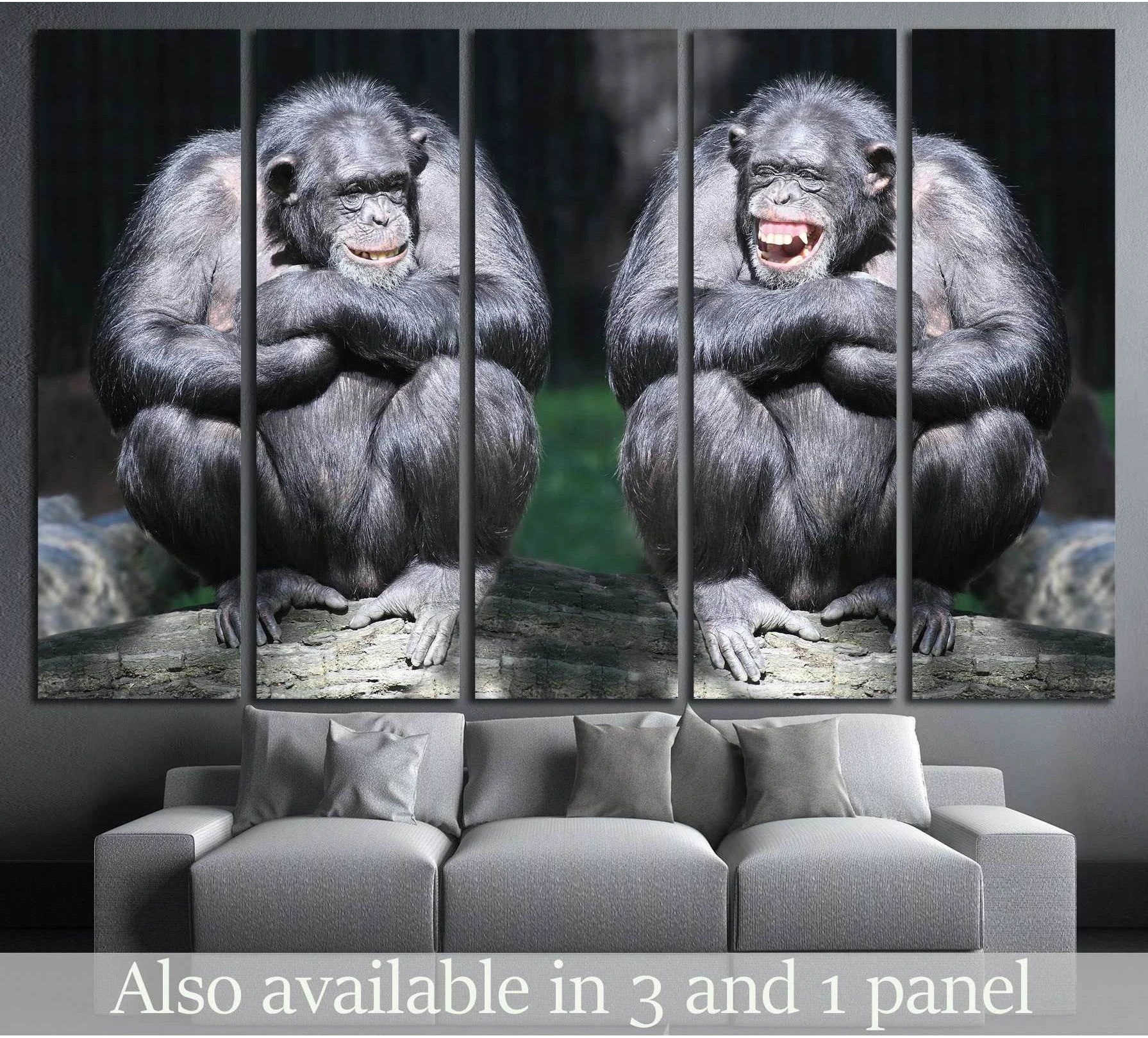 Two laughing chimpanzees wildlife canvas print shown as five panel wall art above a sofa